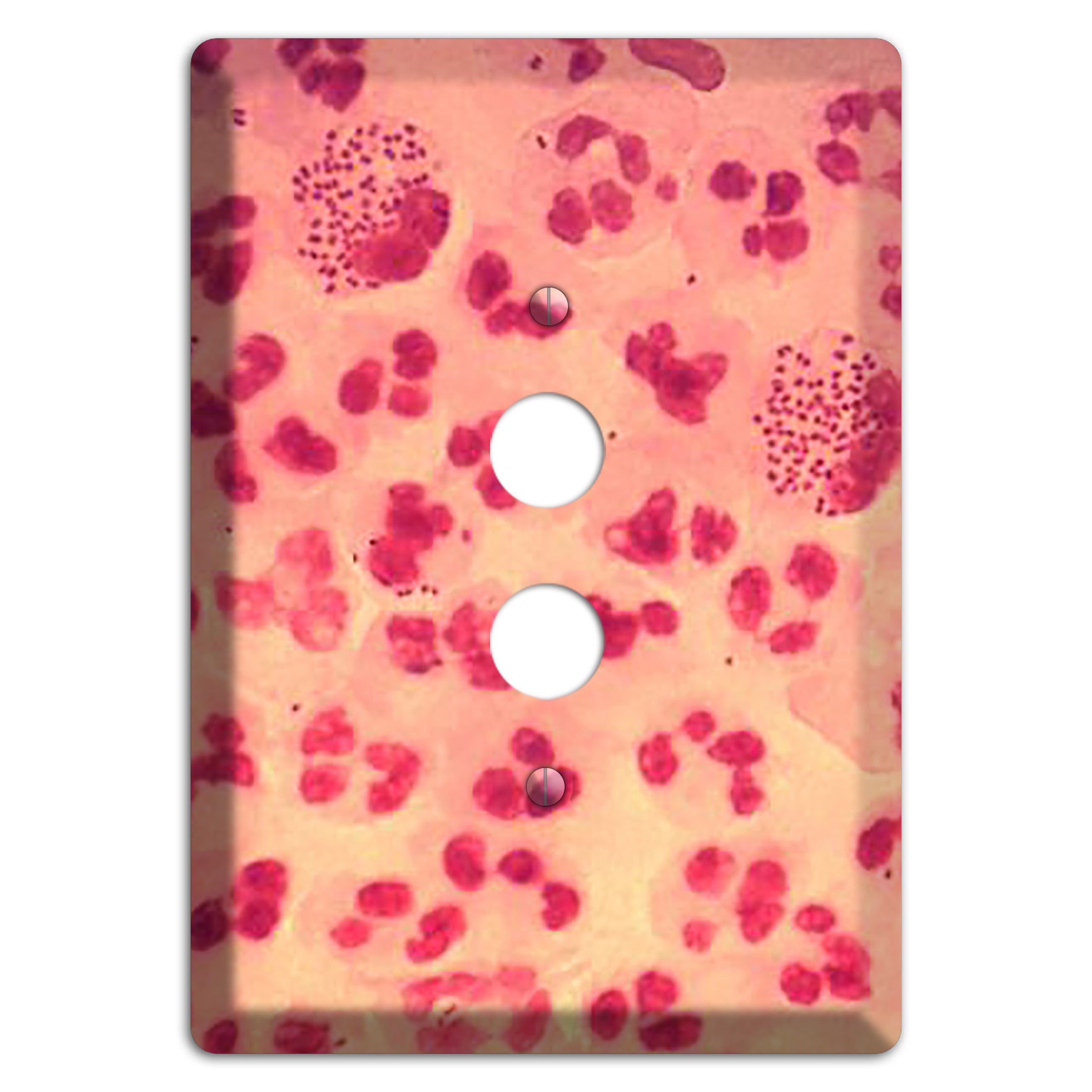 Gonococcal Urethritis 1 Pushbutton Wallplate