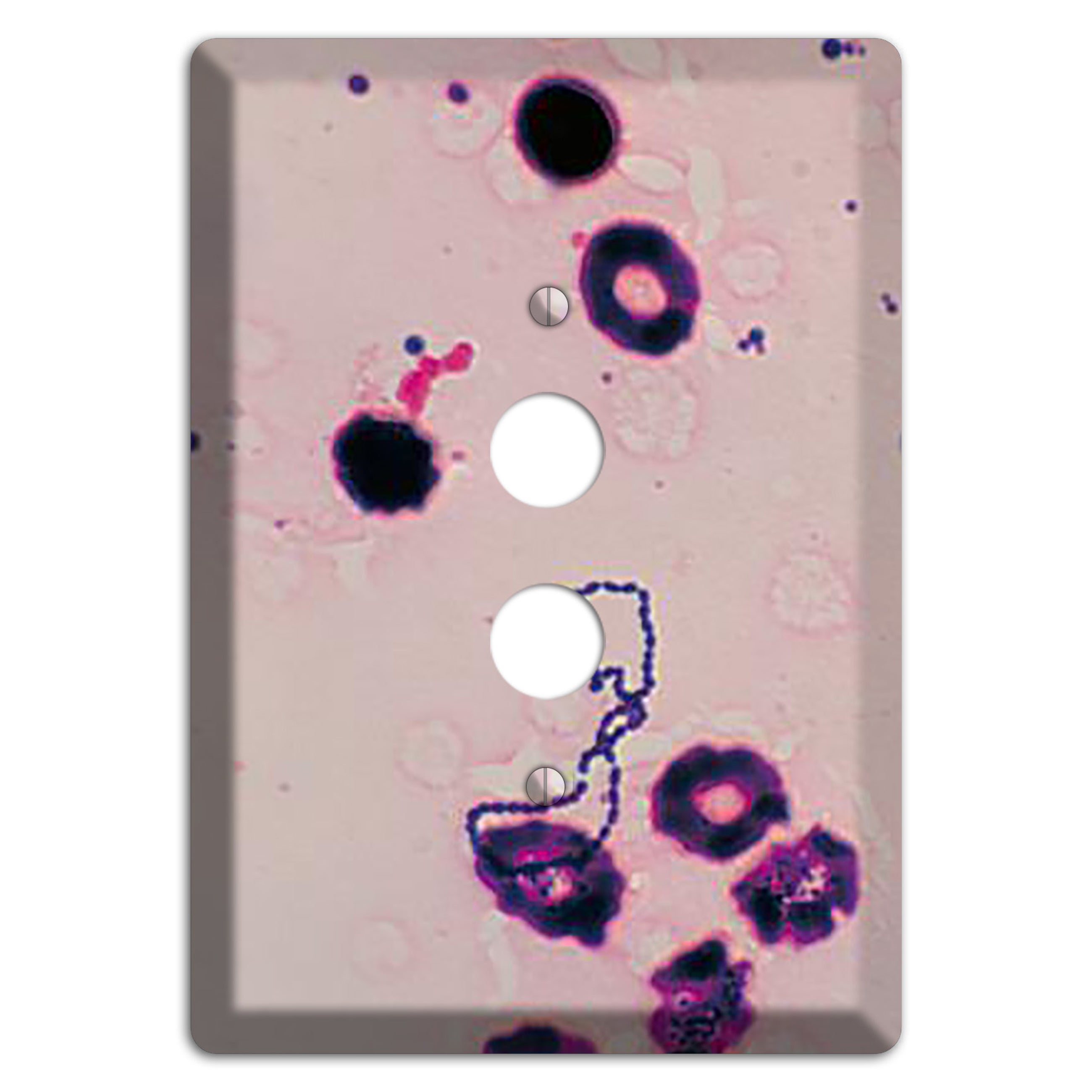Streptococcus Viridans 1 Pushbutton Wallplate