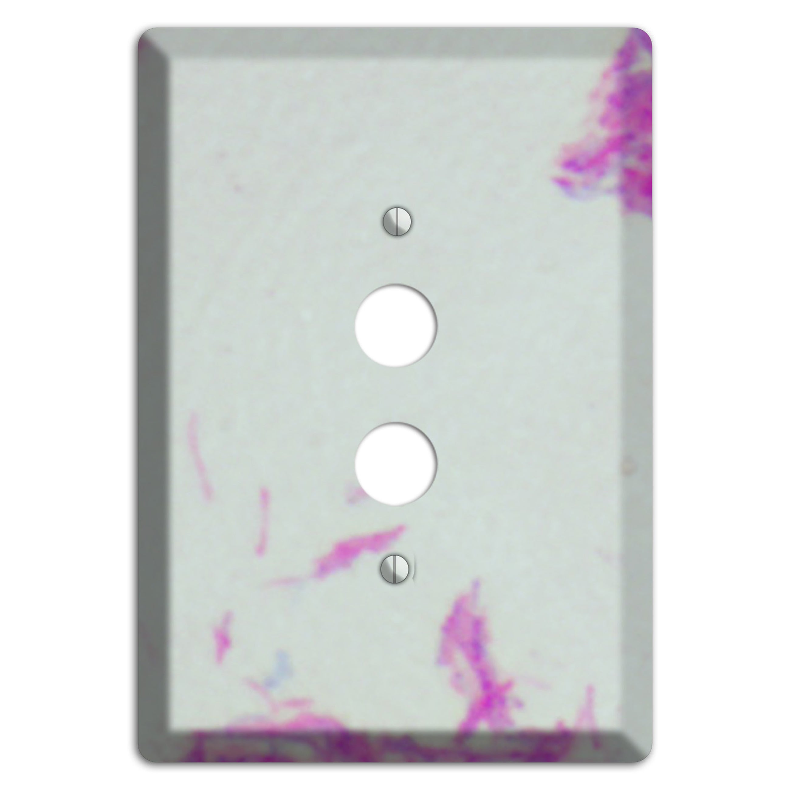 Mycobacterium Bovis 1 Pushbutton Wallplate