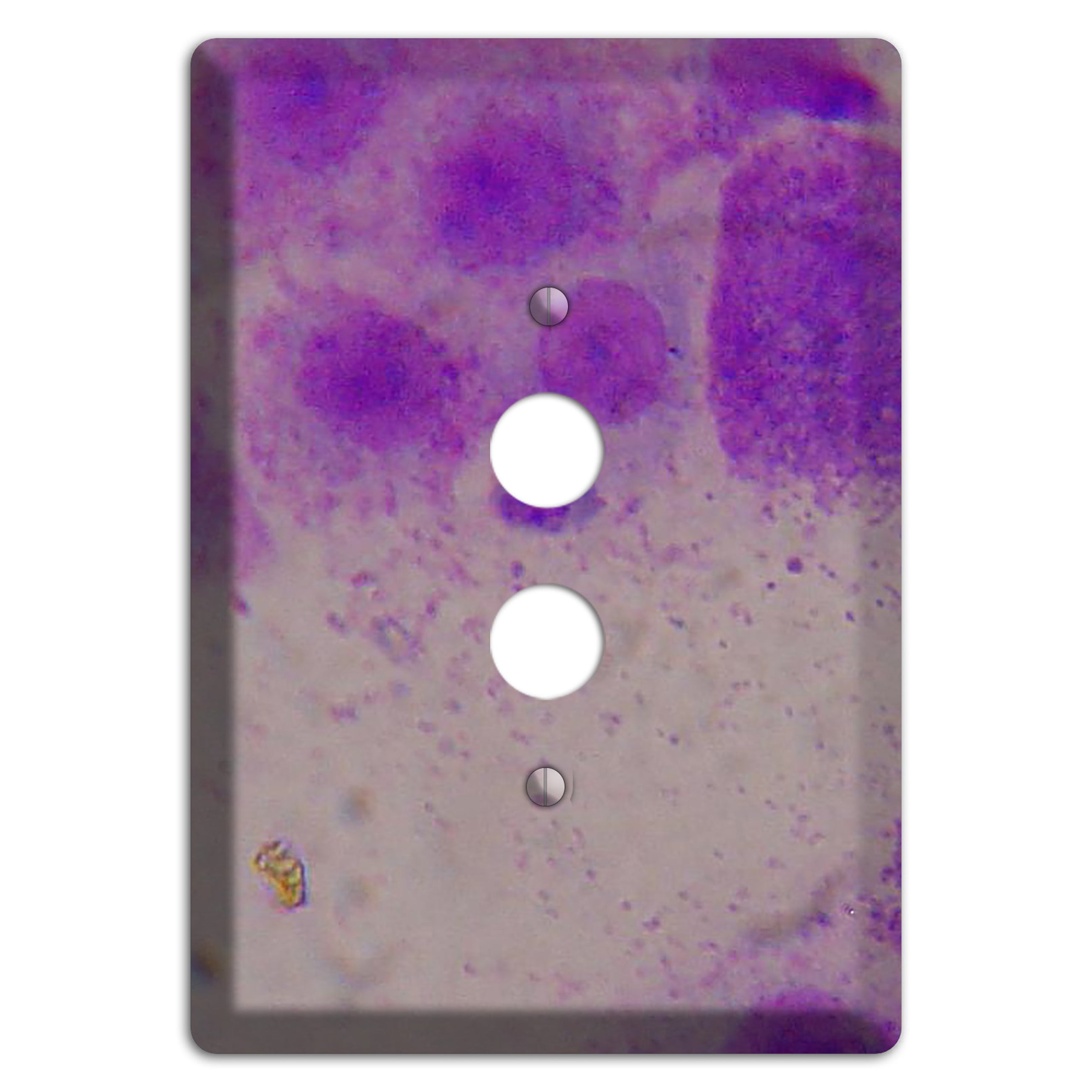 Mast Cell Tumor 1 Pushbutton Wallplate