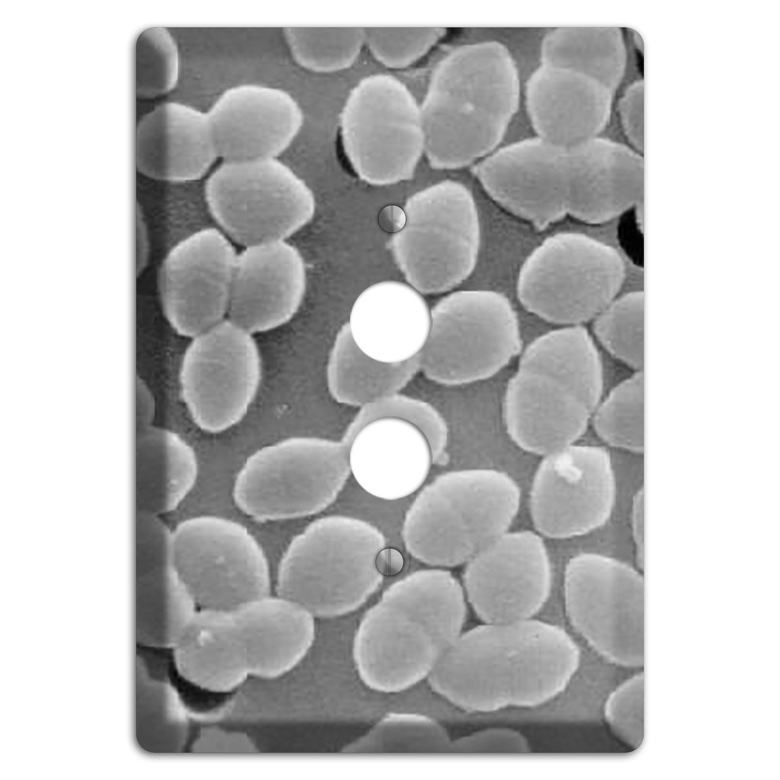 Entercoccus 1 Pushbutton Wallplate