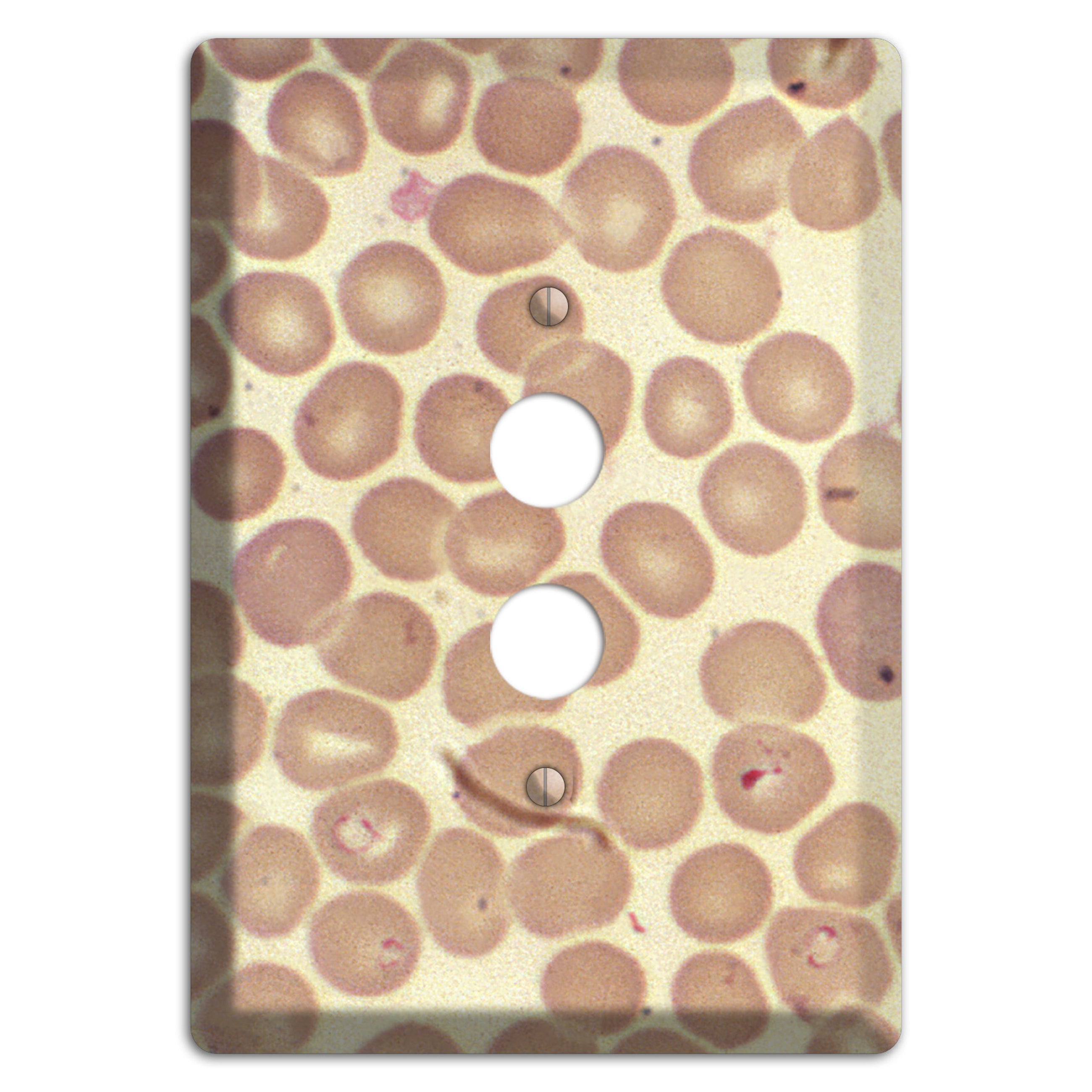 Babiesa 1 Pushbutton Wallplate