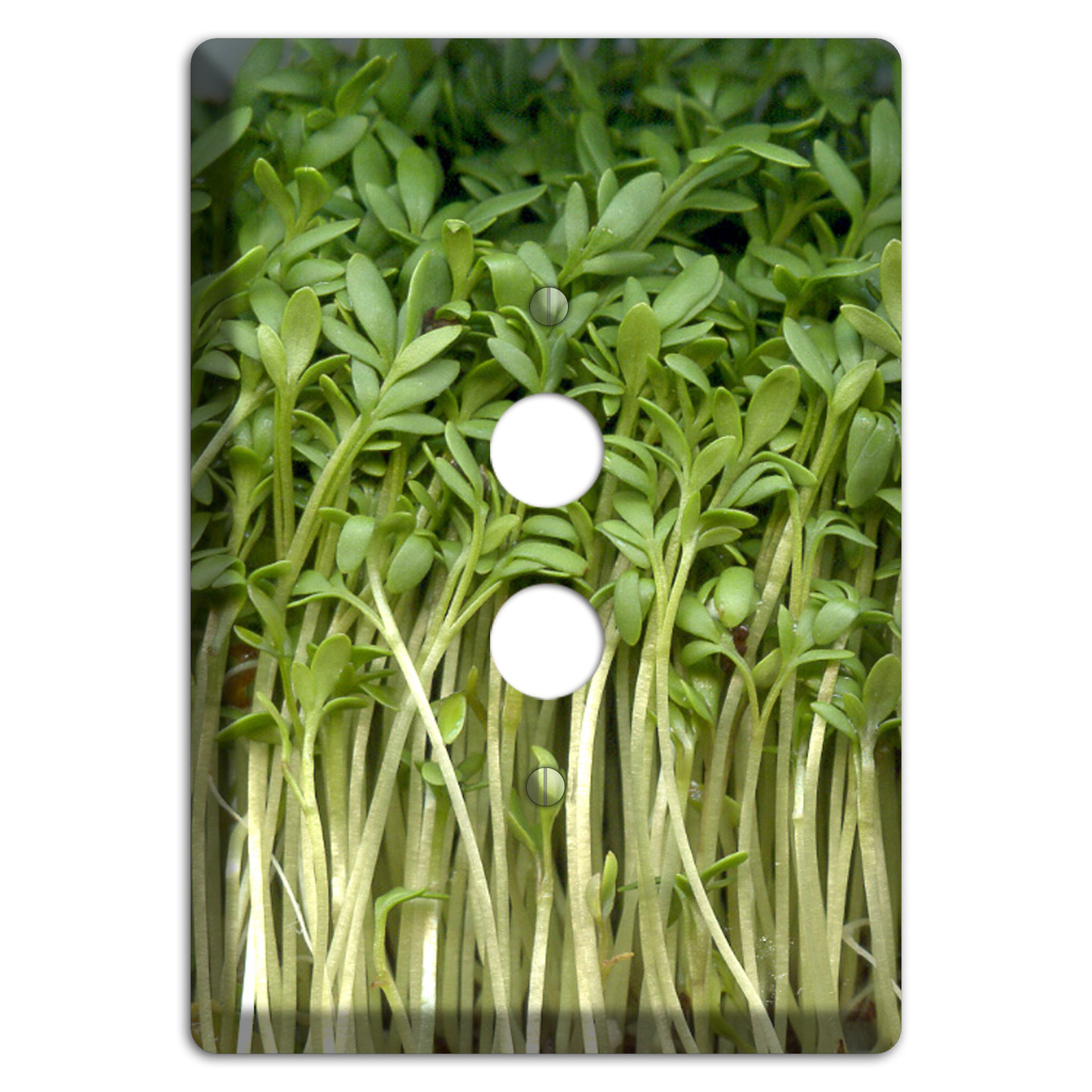 Sprouts 1 Pushbutton Wallplate