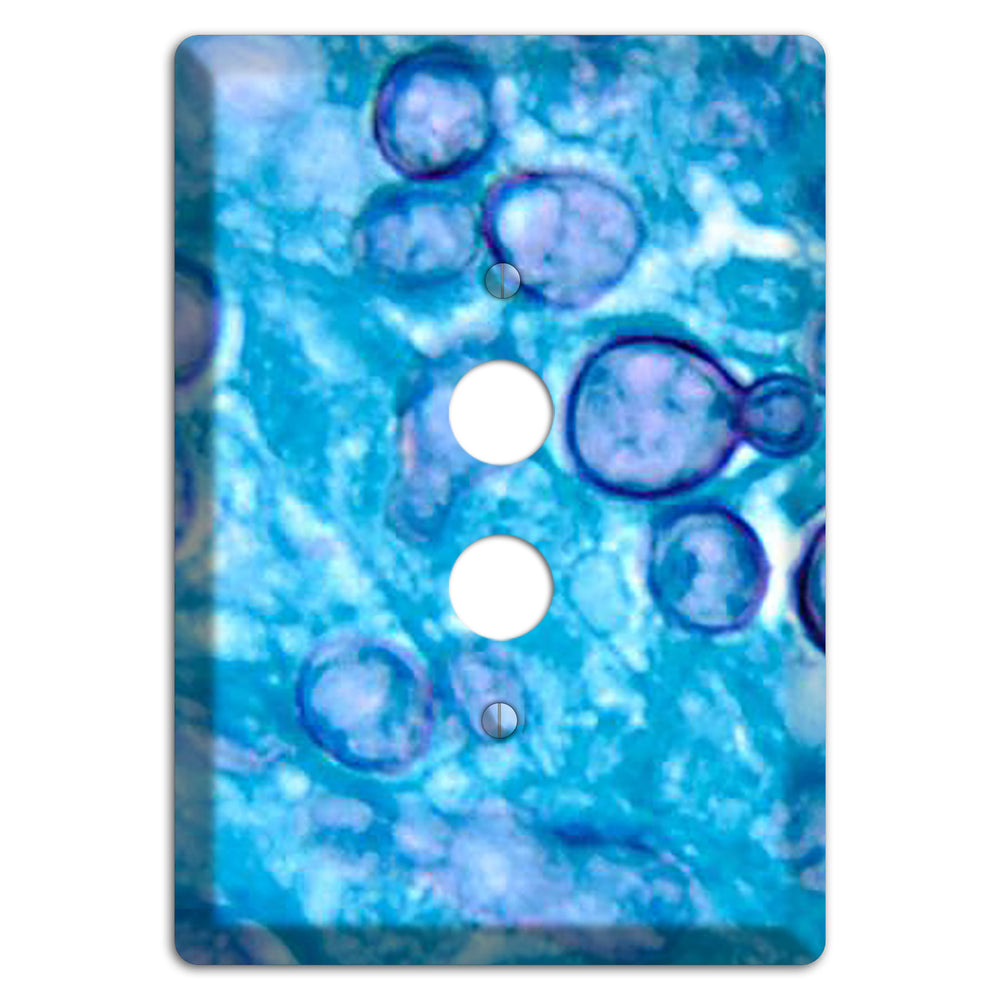 Histoplasma Capsulatum Duboisii 1 Pushbutton Wallplate