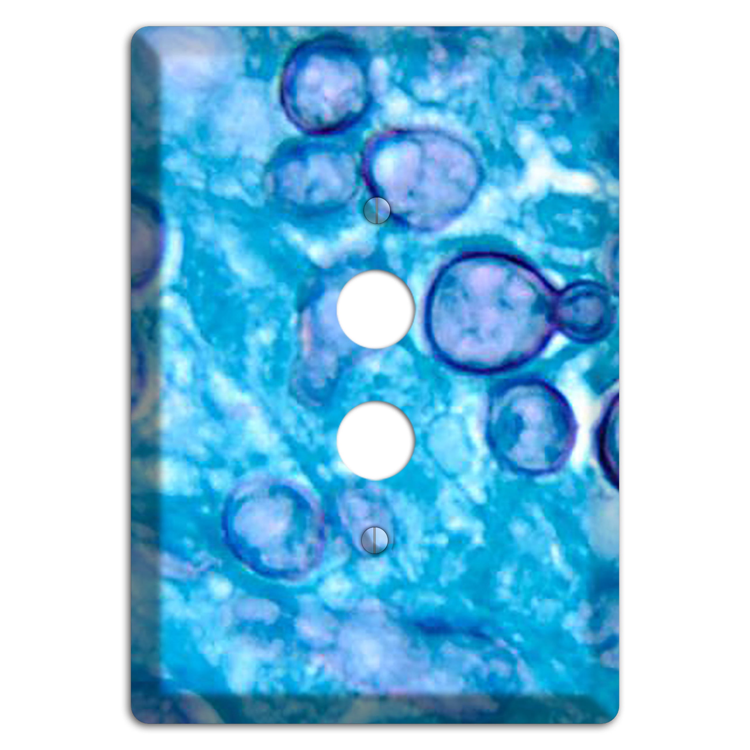 Histoplasma Capsulatum Duboisii 1 Pushbutton Wallplate