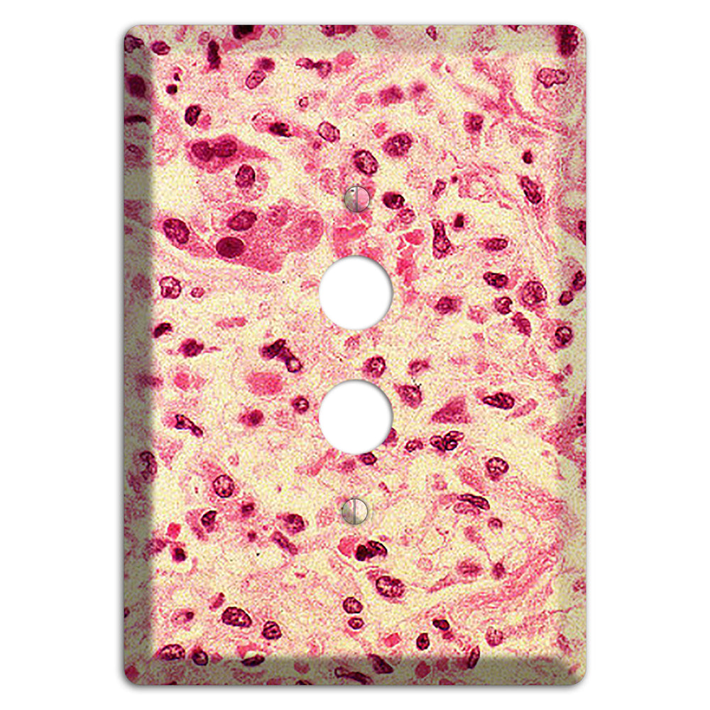 Morbillo 1 Pushbutton Wallplate