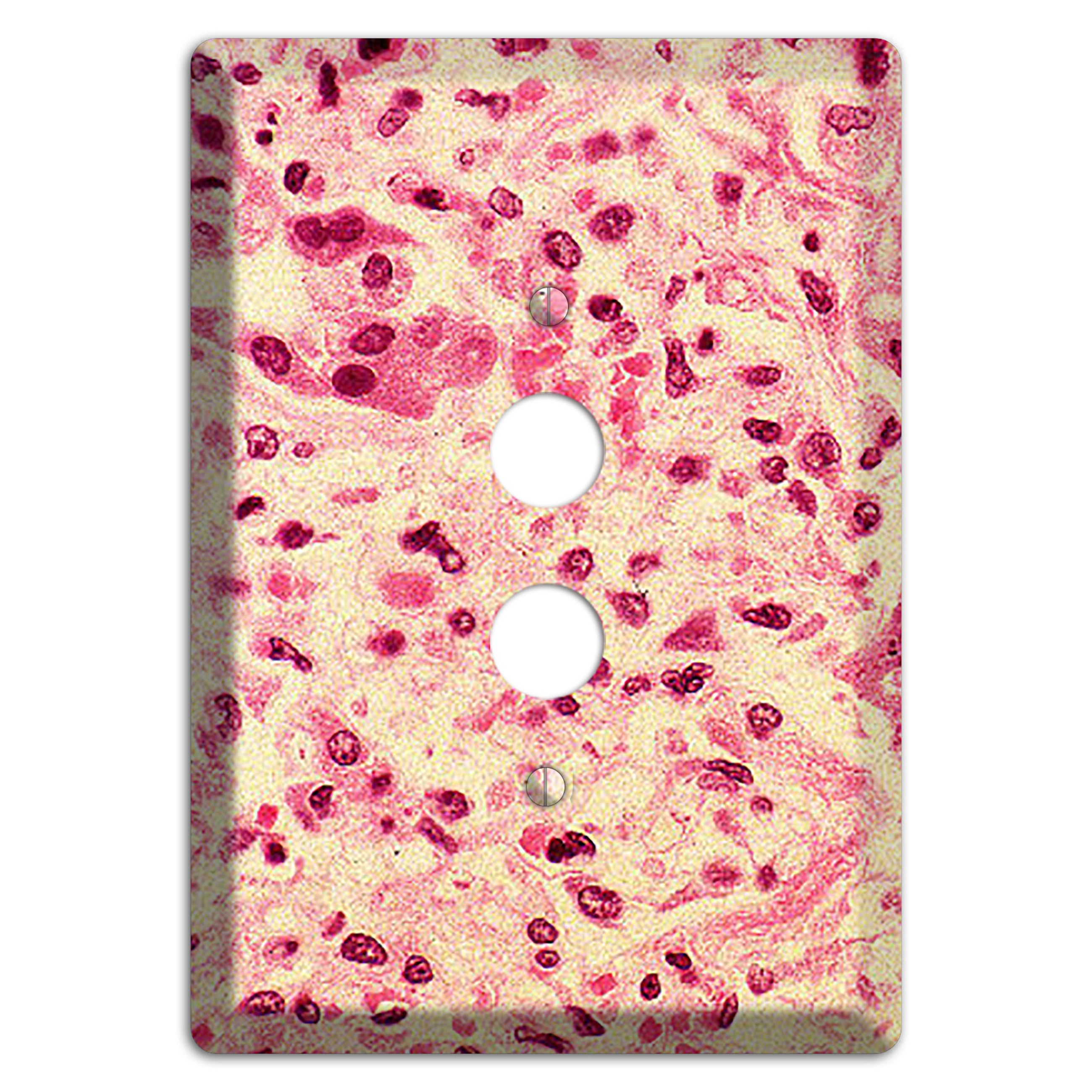Morbillo 1 Pushbutton Wallplate