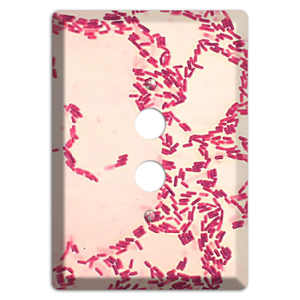 Bacillus Coagulans 1 Pushbutton Wallplate