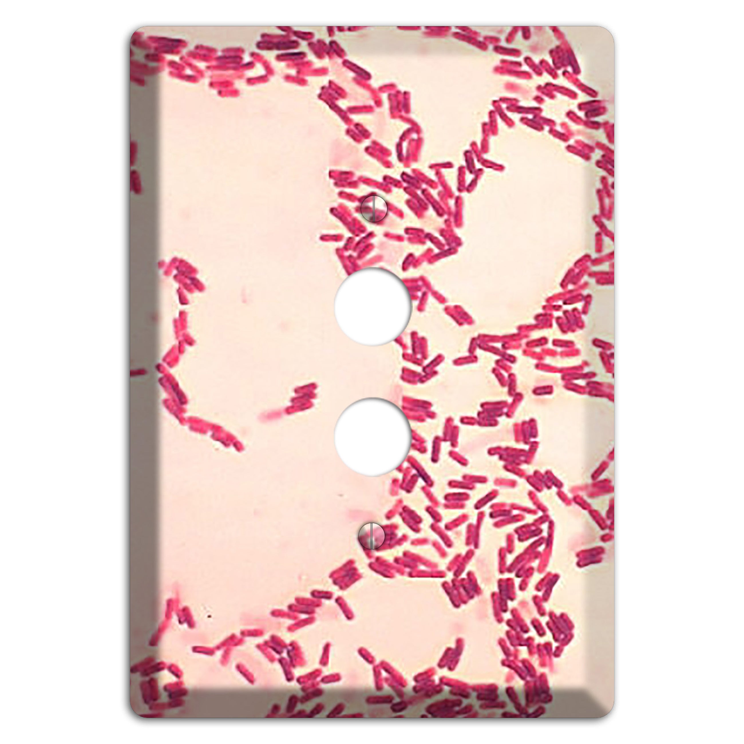 Bacillus Coagulans 1 Pushbutton Wallplate