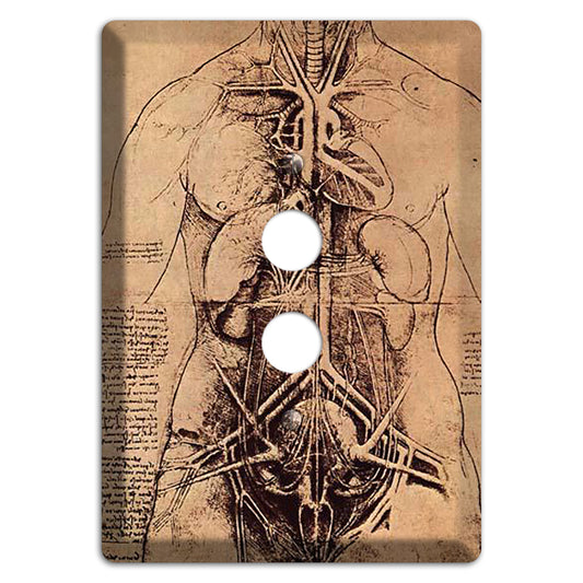 Da Vinci - Principle Organs 1 Pushbutton Wallplate