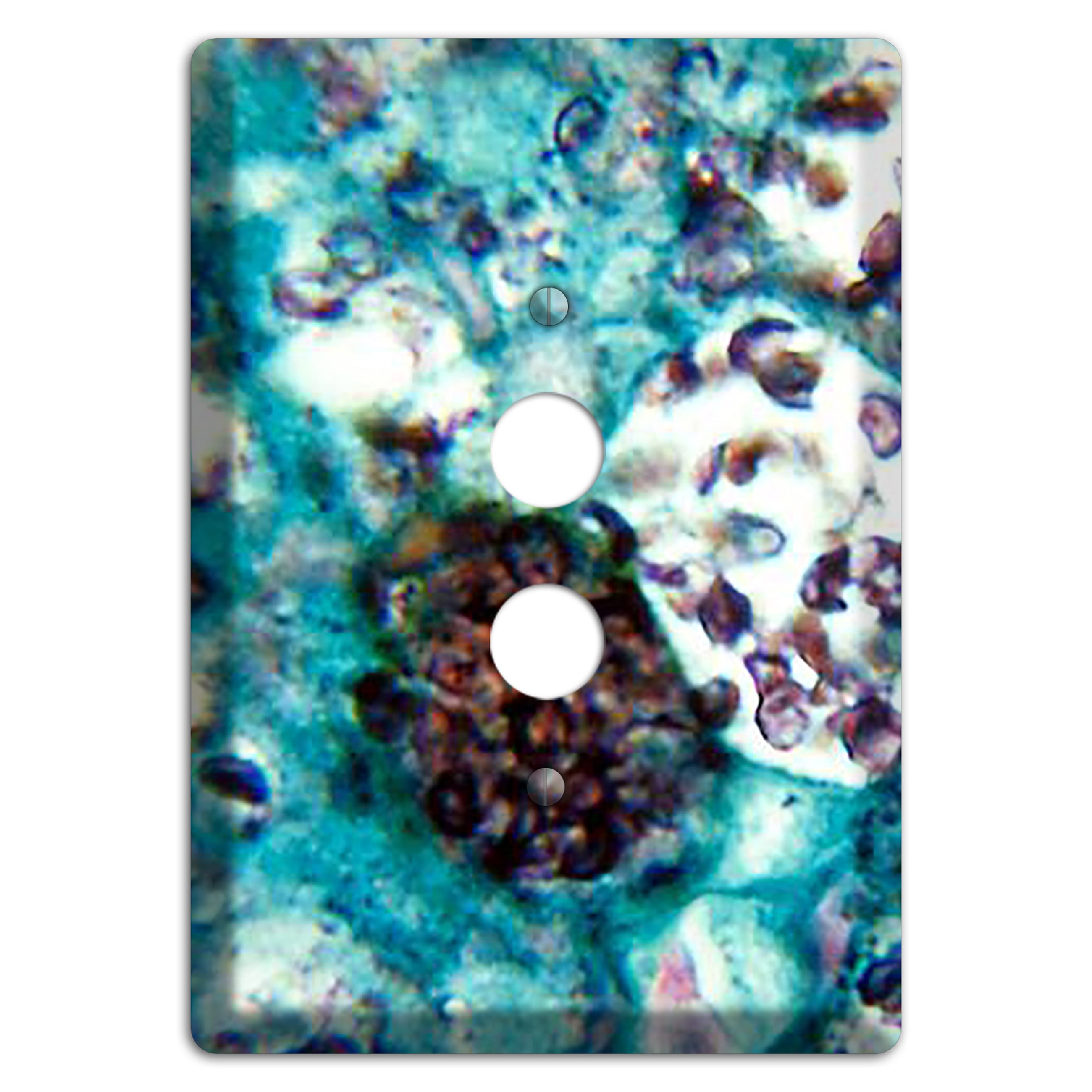 Histoplasmosis Capsulatum 1 Pushbutton Wallplate