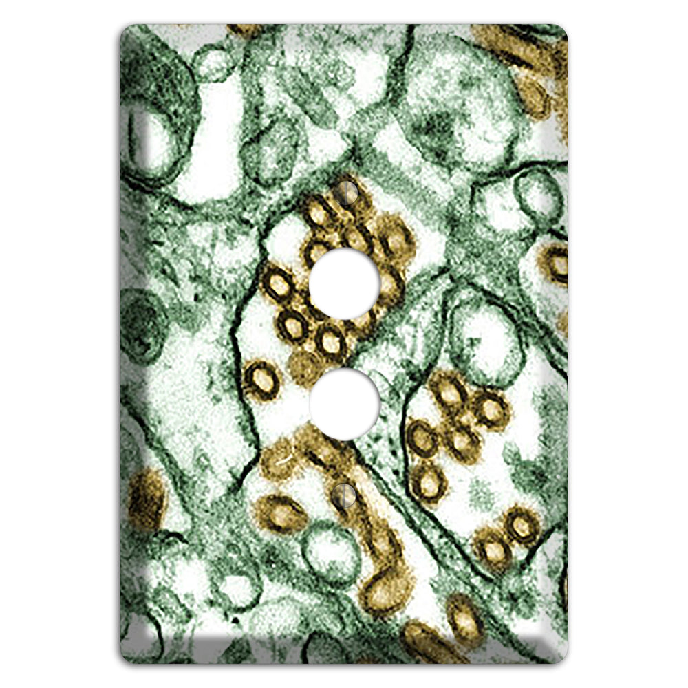 influenza A H5N1 1 Pushbutton Wallplate