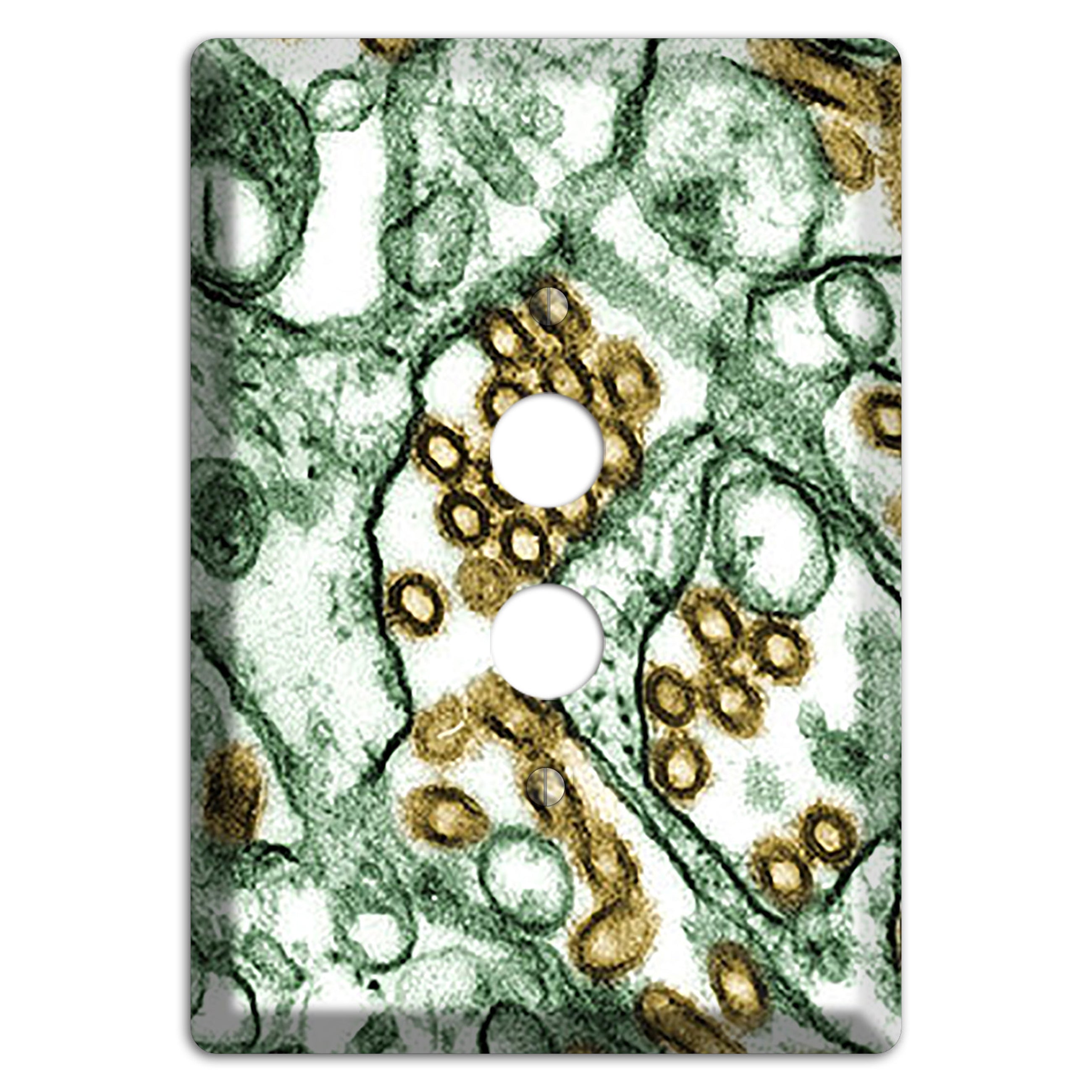 influenza A H5N1 1 Pushbutton Wallplate