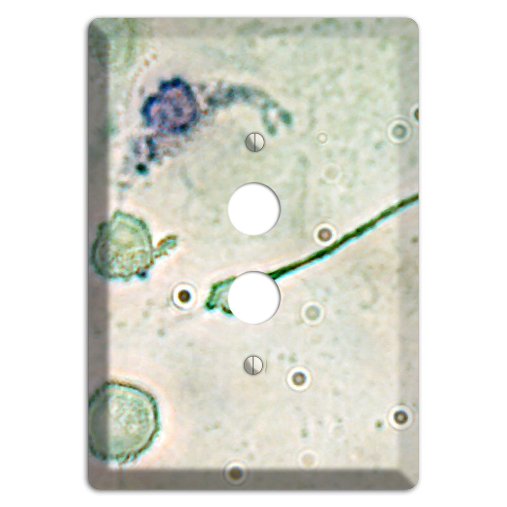 Macrophage 1 Pushbutton Wallplate