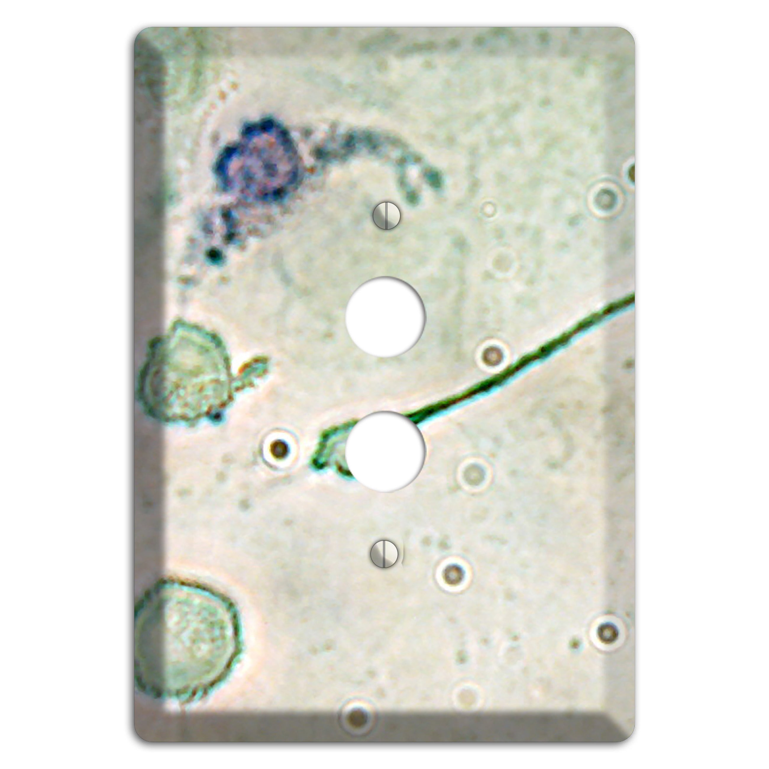 Macrophage 1 Pushbutton Wallplate