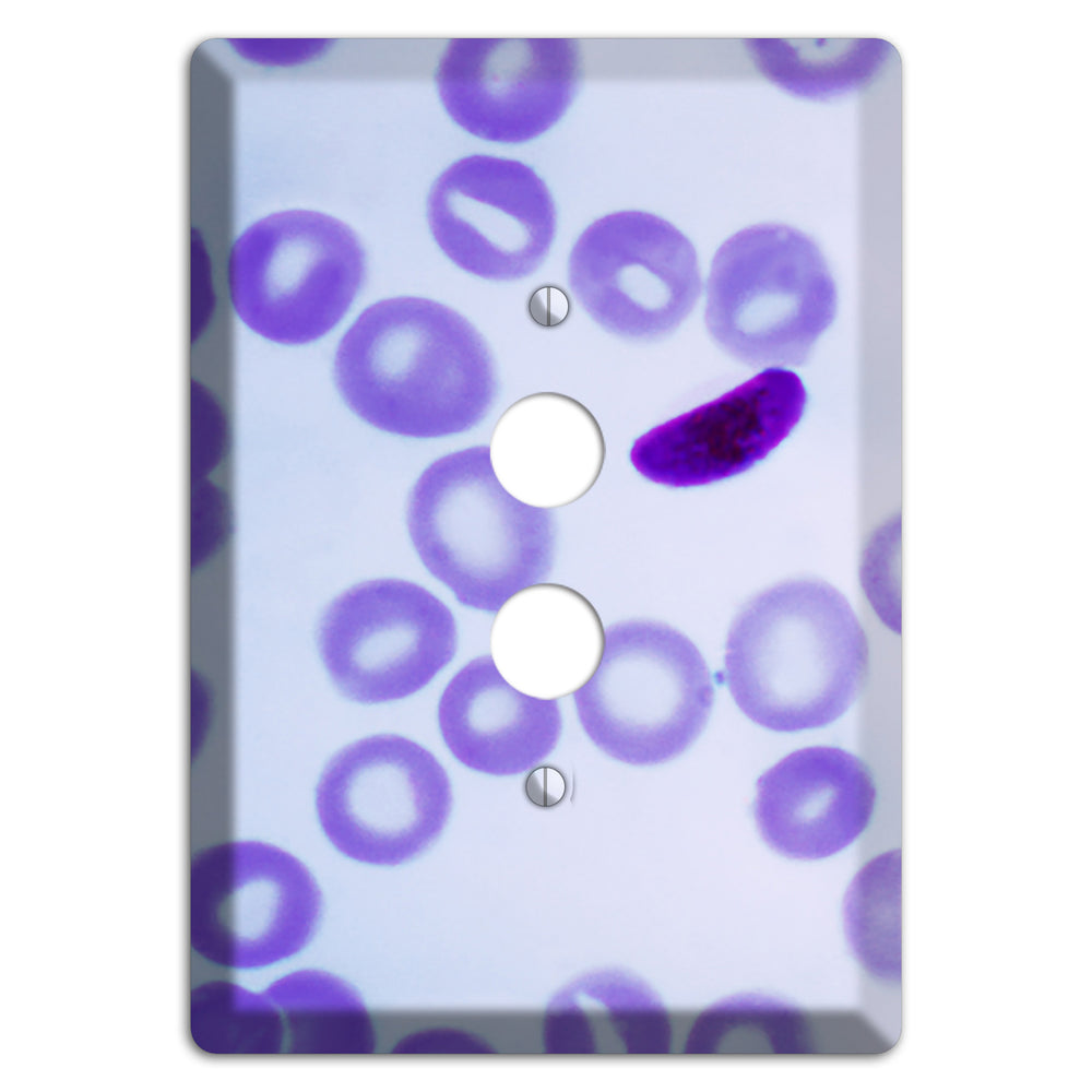 Plasmodium Falciparum 1 Pushbutton Wallplate
