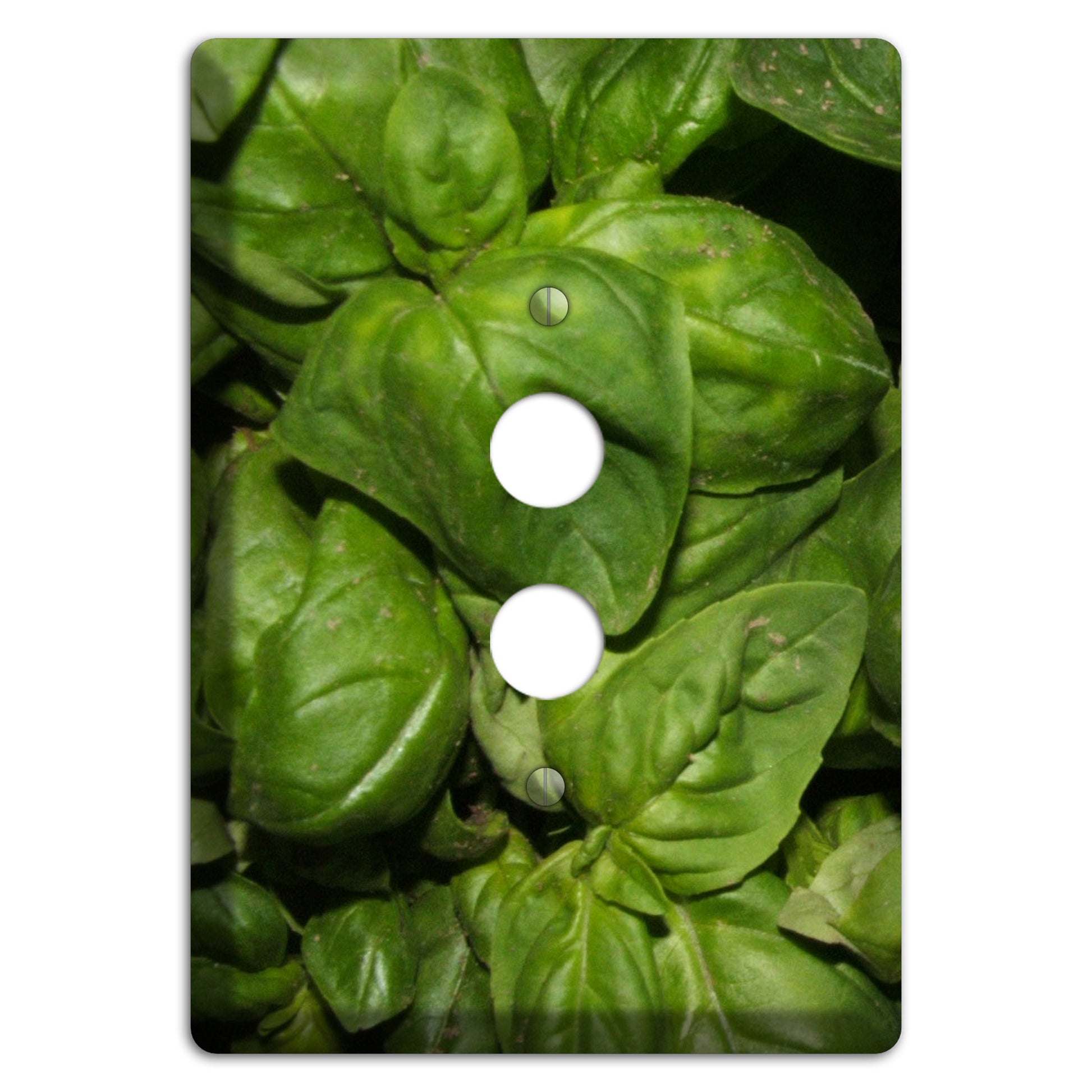 Basil 1 Pushbutton Wallplate