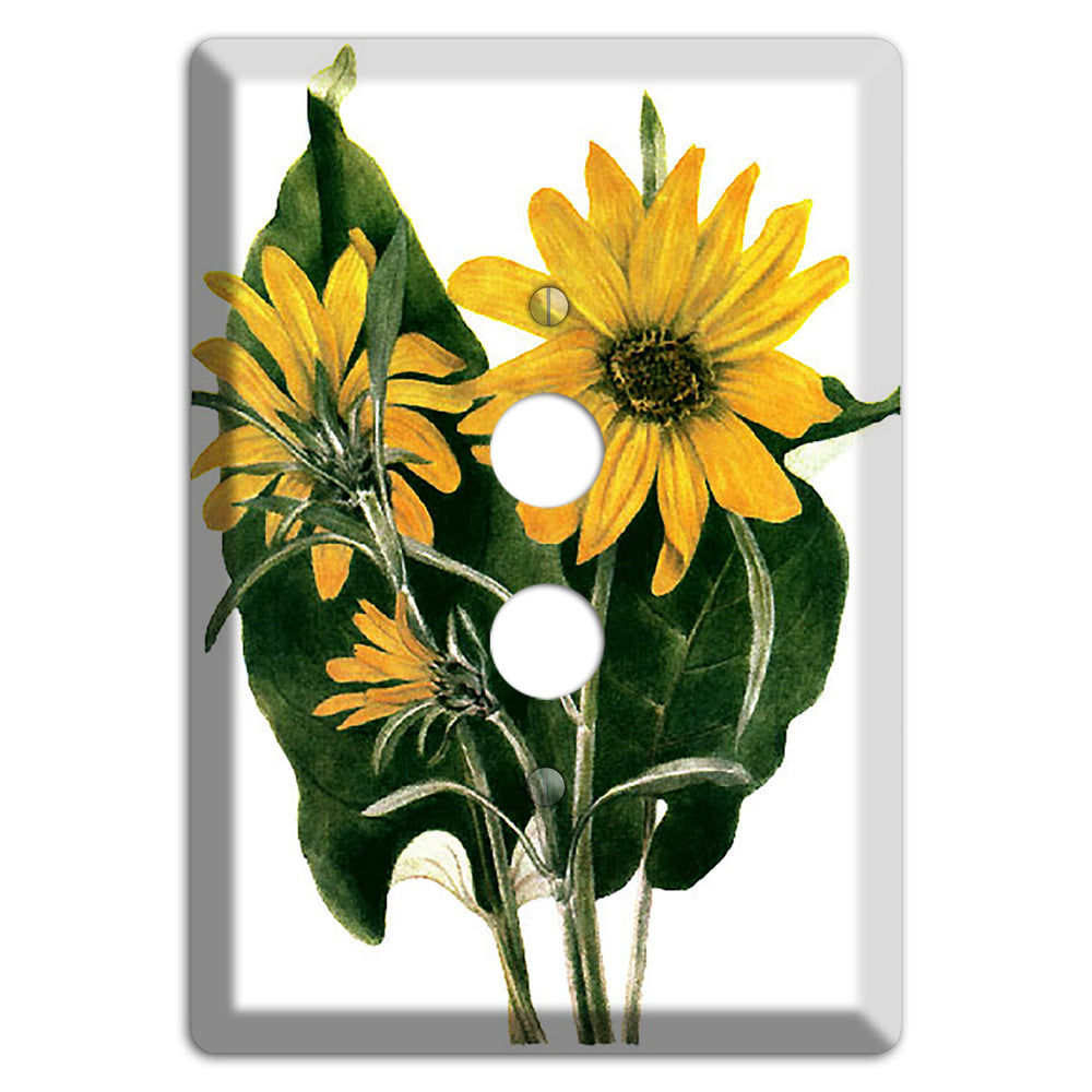 Balsamorhiza Sagittata 1 Pushbutton Wallplate