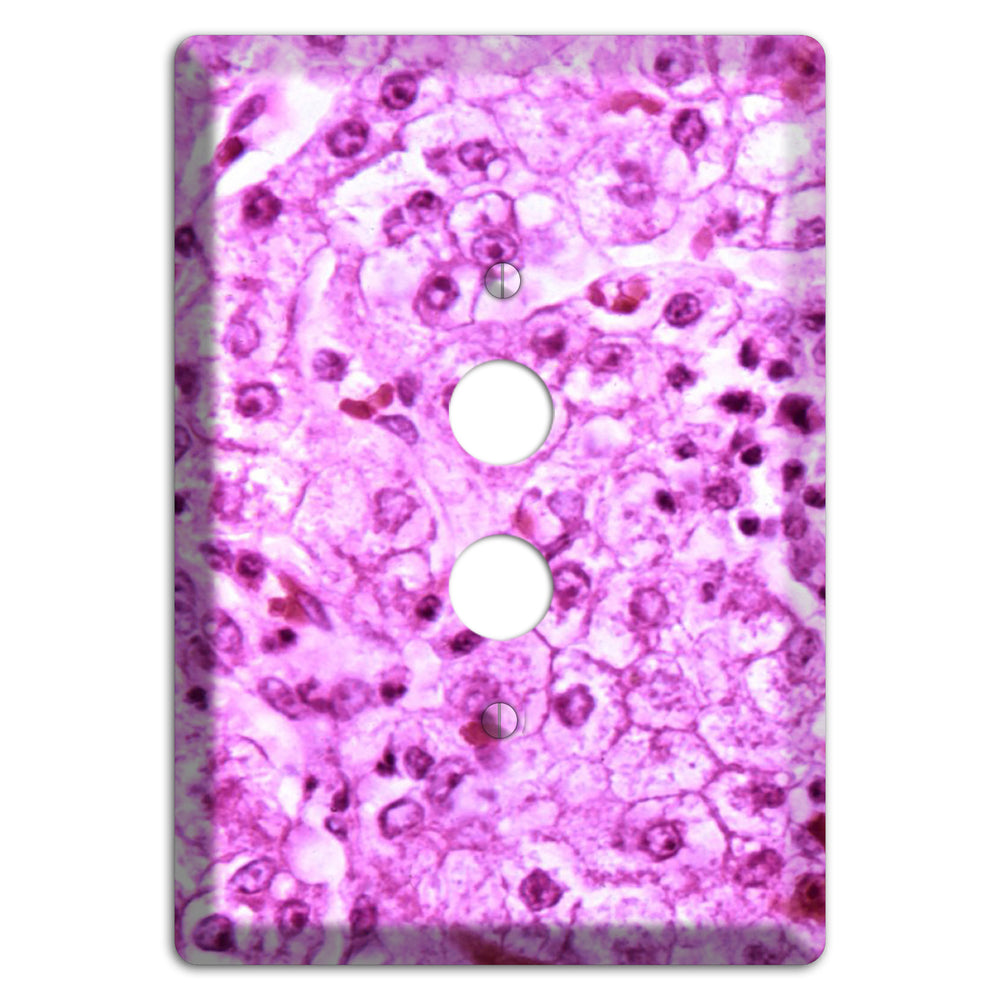 Lores 1 Pushbutton Wallplate