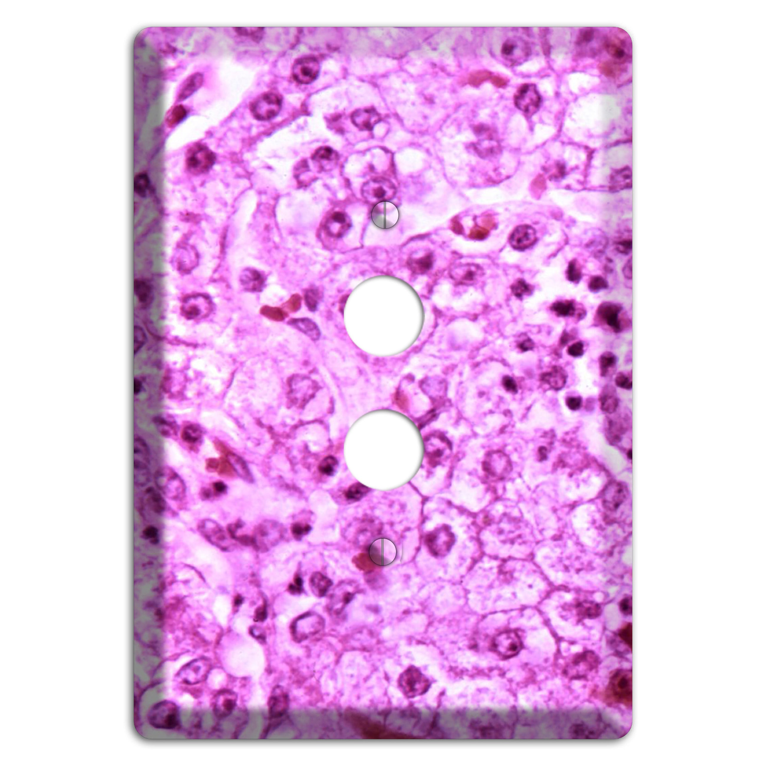 Lores 1 Pushbutton Wallplate