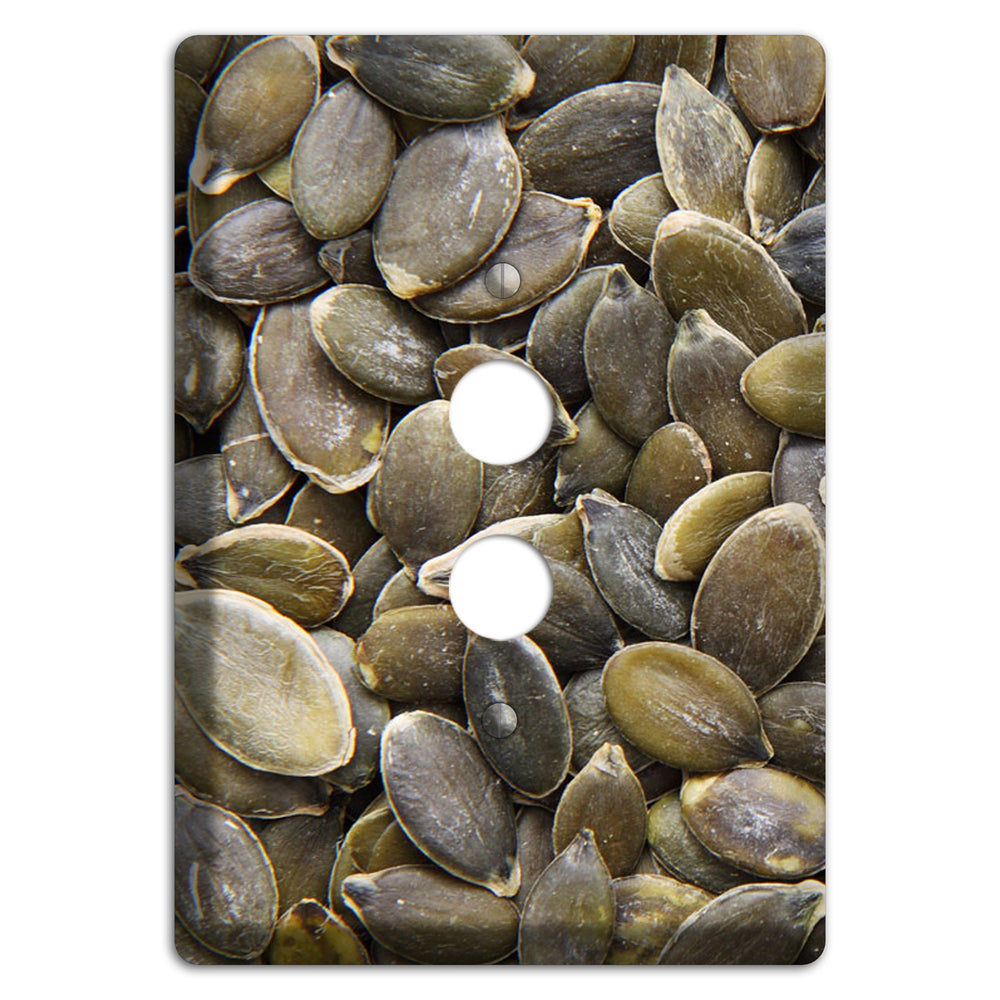 Sunflowers Seeds 1 Pushbutton Wallplate