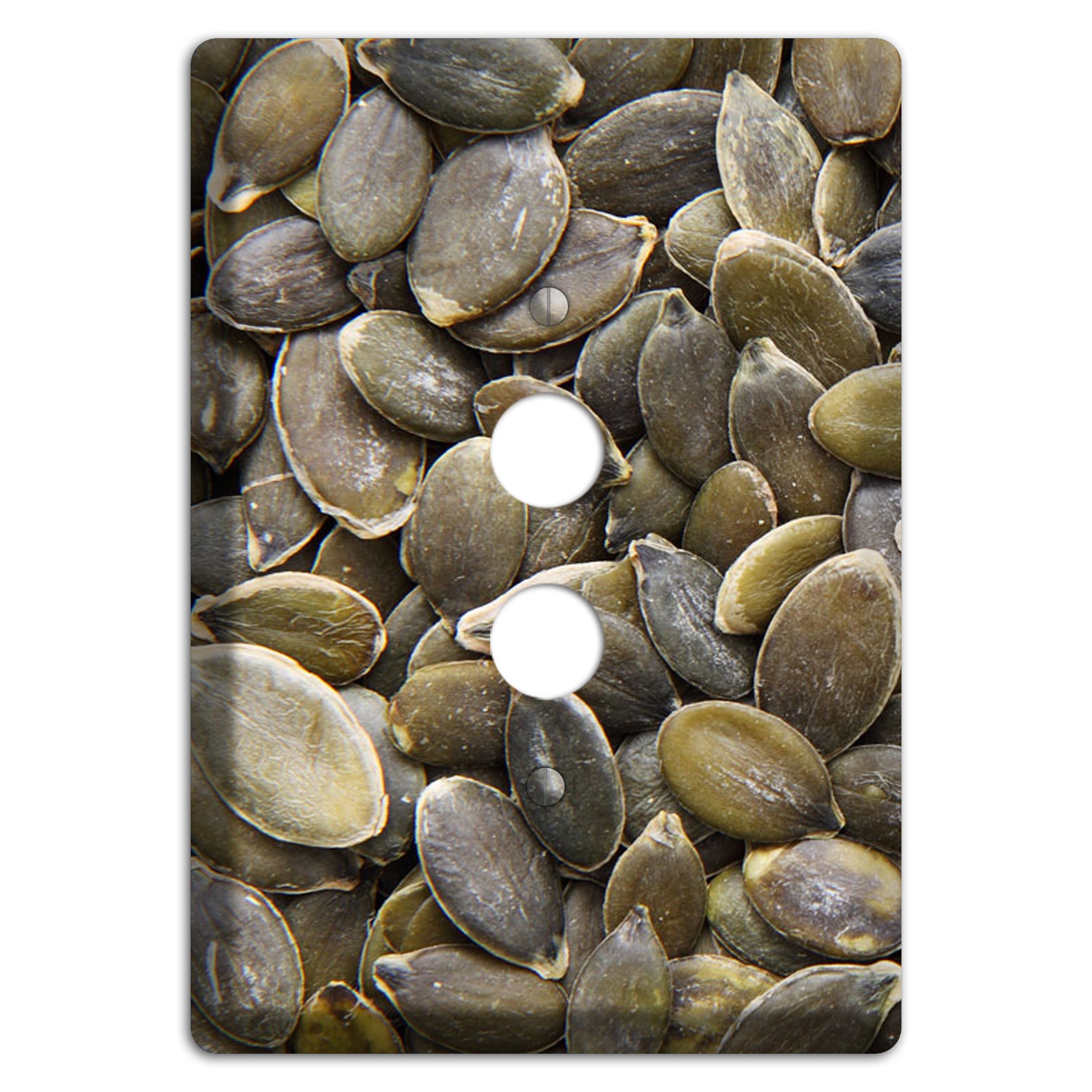 Sunflowers Seeds 1 Pushbutton Wallplate