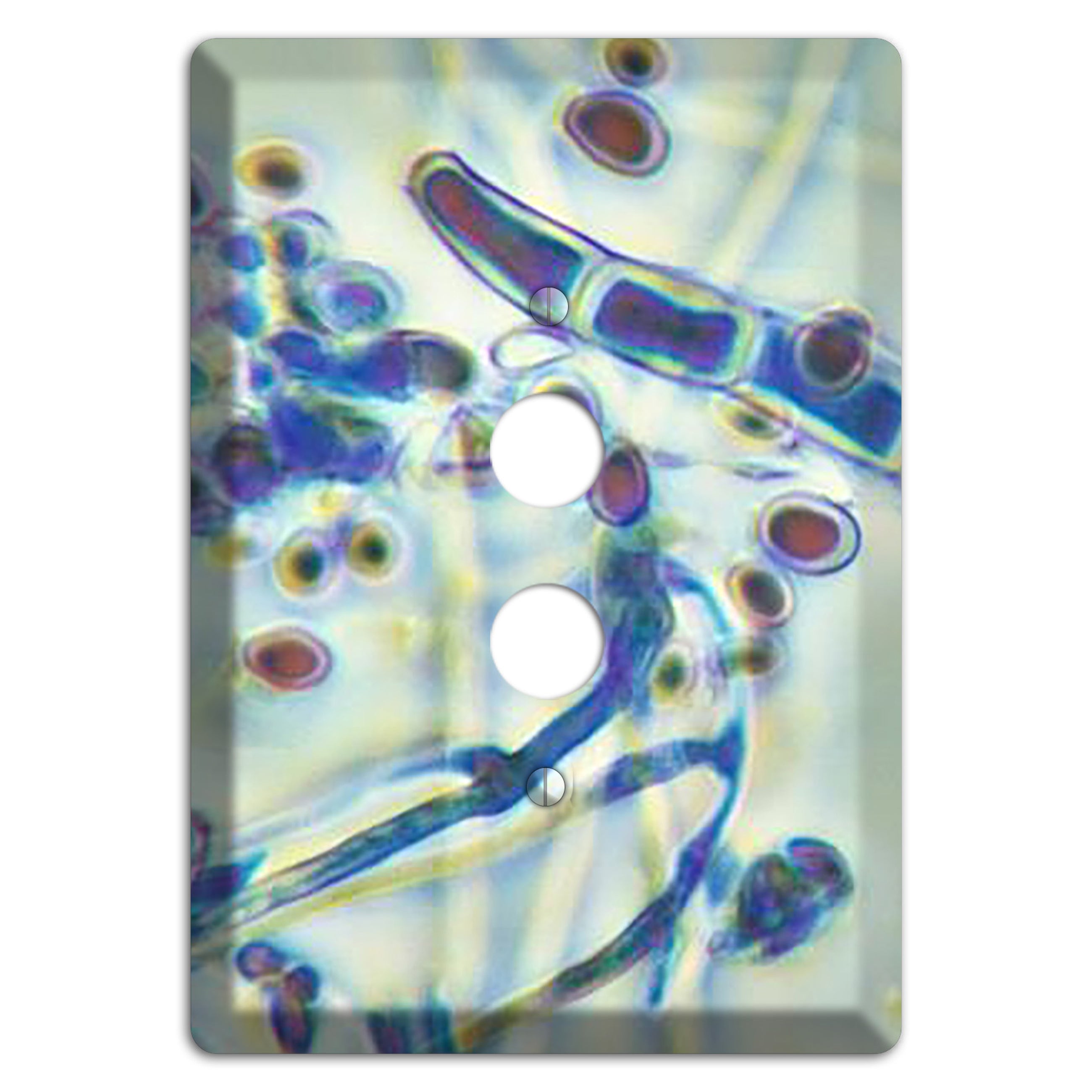 Trichophyton Rubrum Var Rodhaini 1 Pushbutton Wallplate