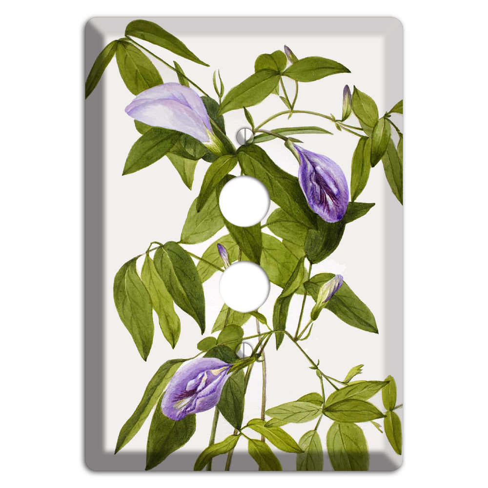 Clitoria Mariana 1 Pushbutton Wallplate