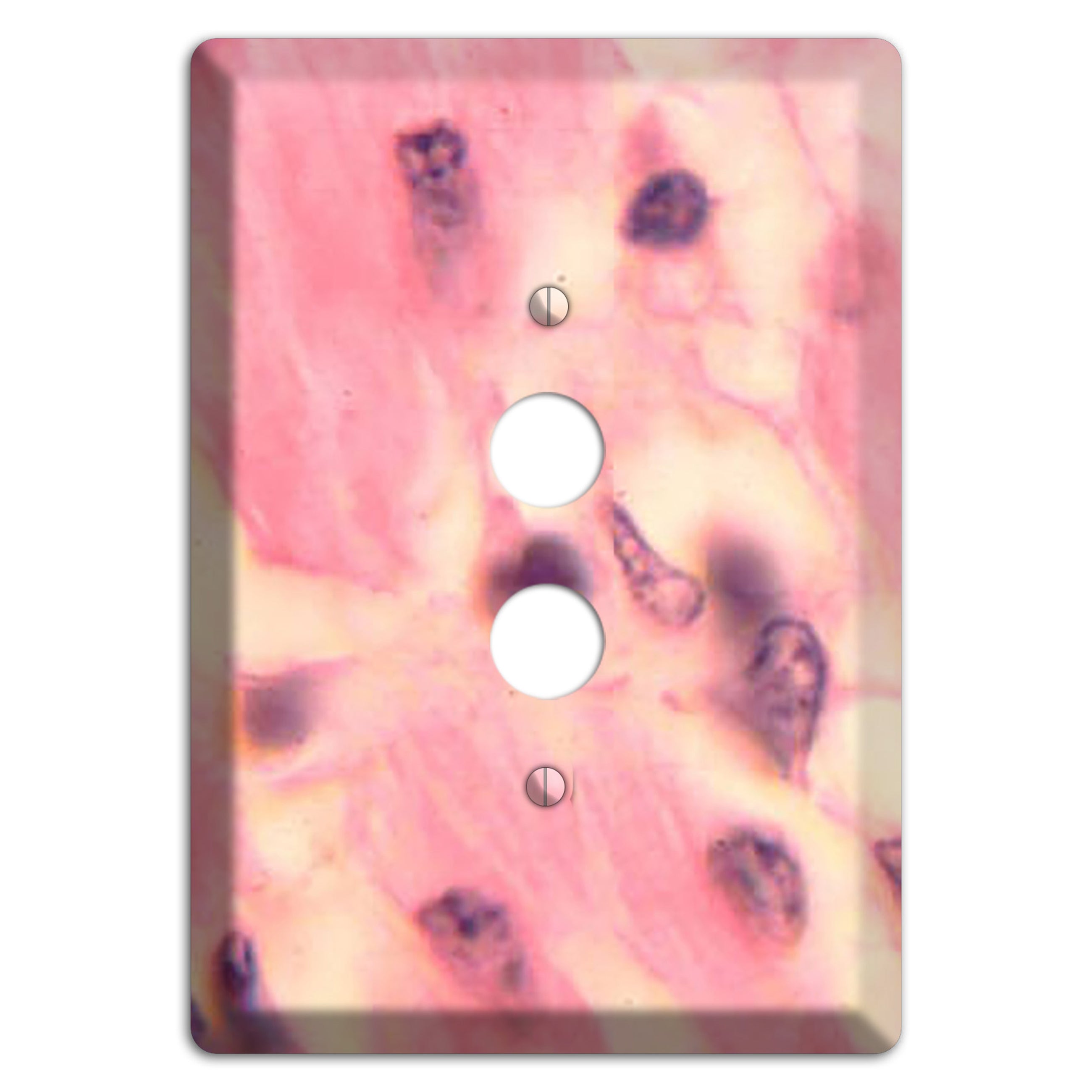 Trypanosoma Cruzi Heart 1 Pushbutton Wallplate