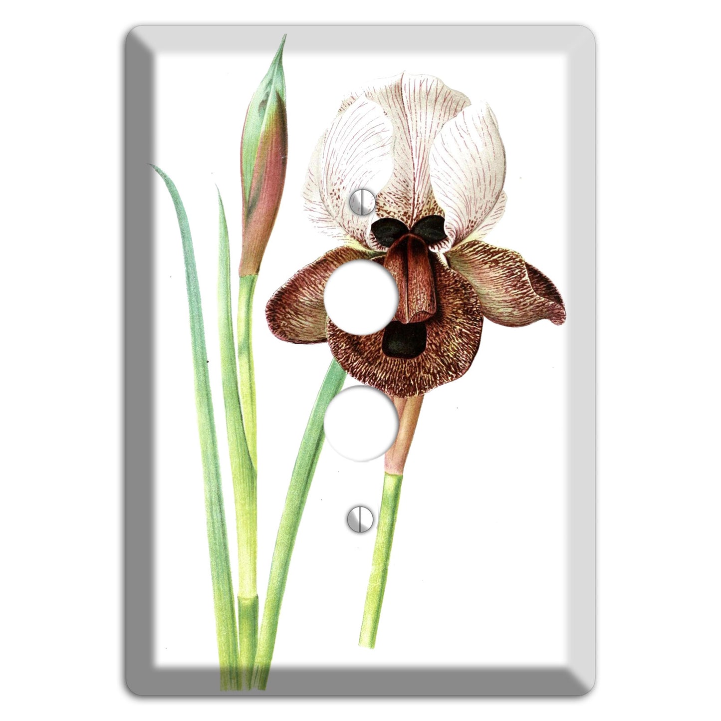 White iris 1 Pushbutton Wallplate