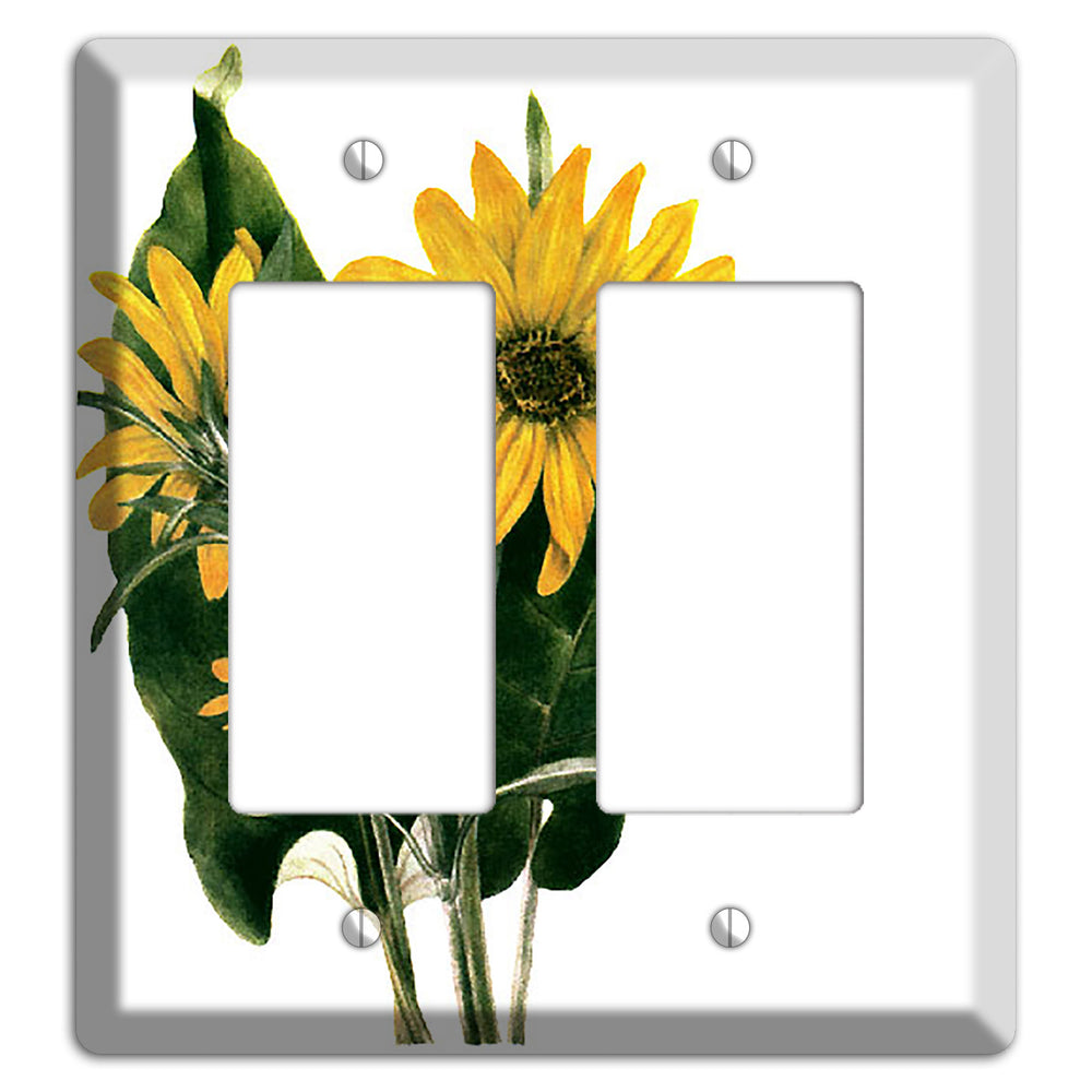 Balsamorhiza Sagittata 2 Rocker Wallplate