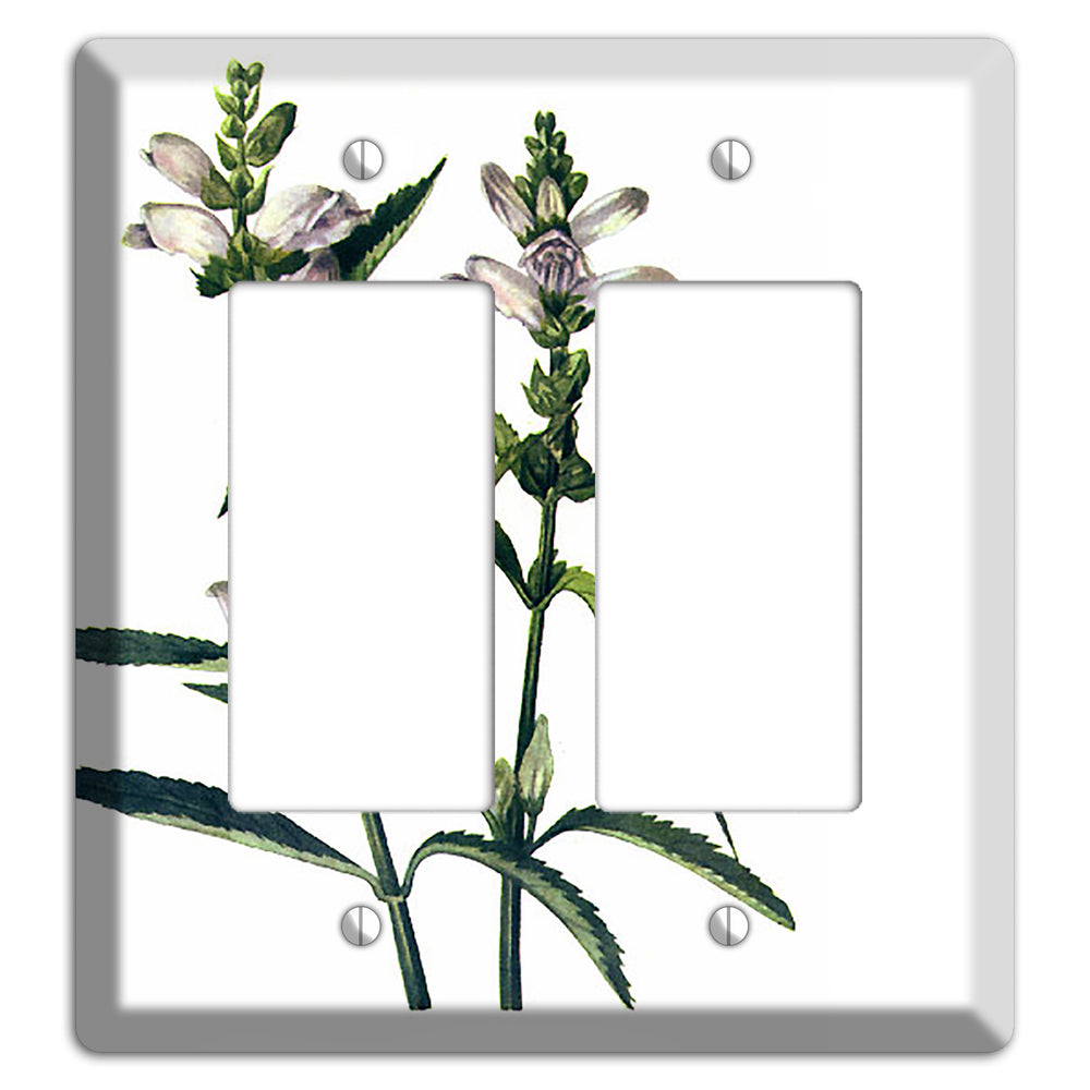 Chelone Glabra 2 Rocker Wallplate