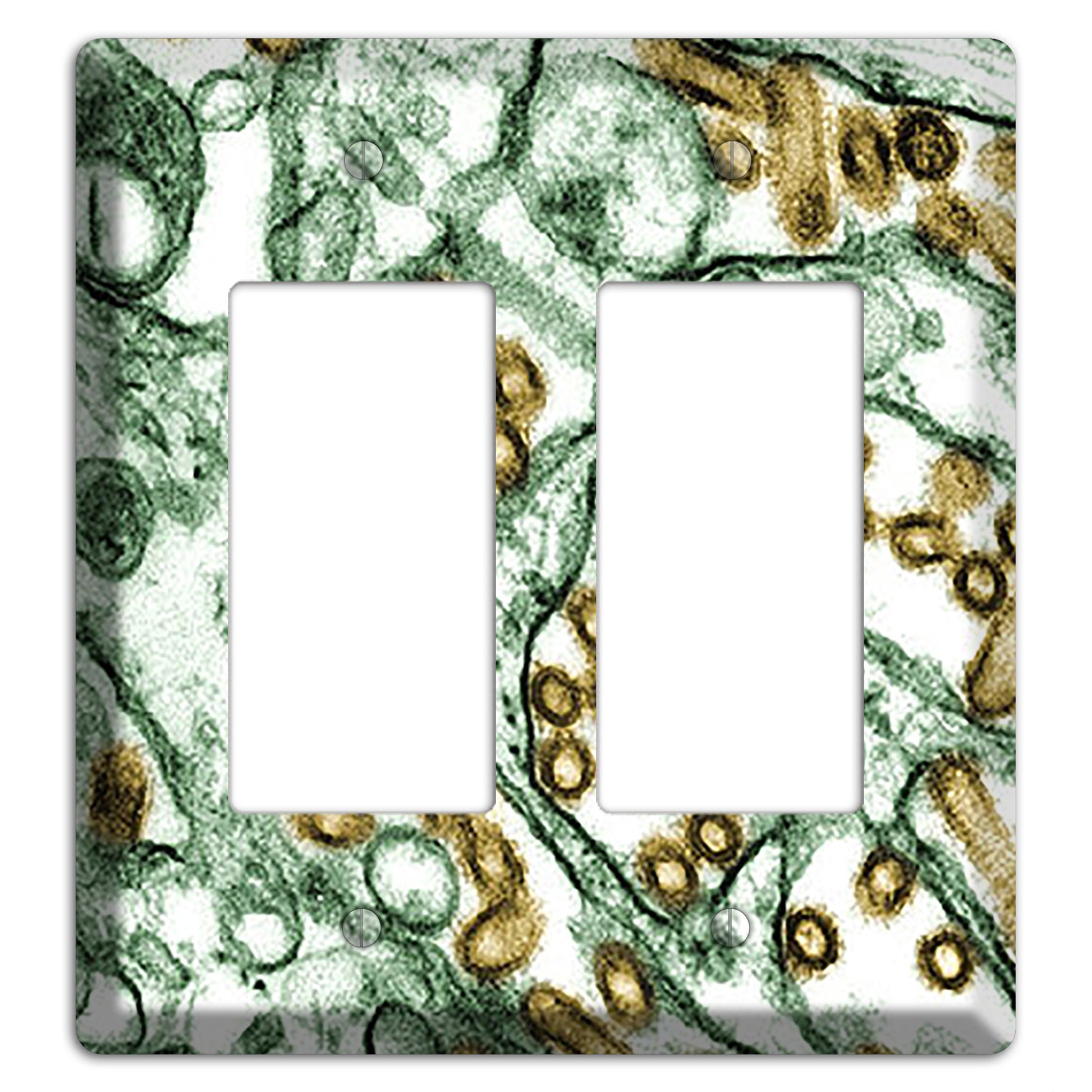 influenza A H5N1 2 Rocker Wallplate