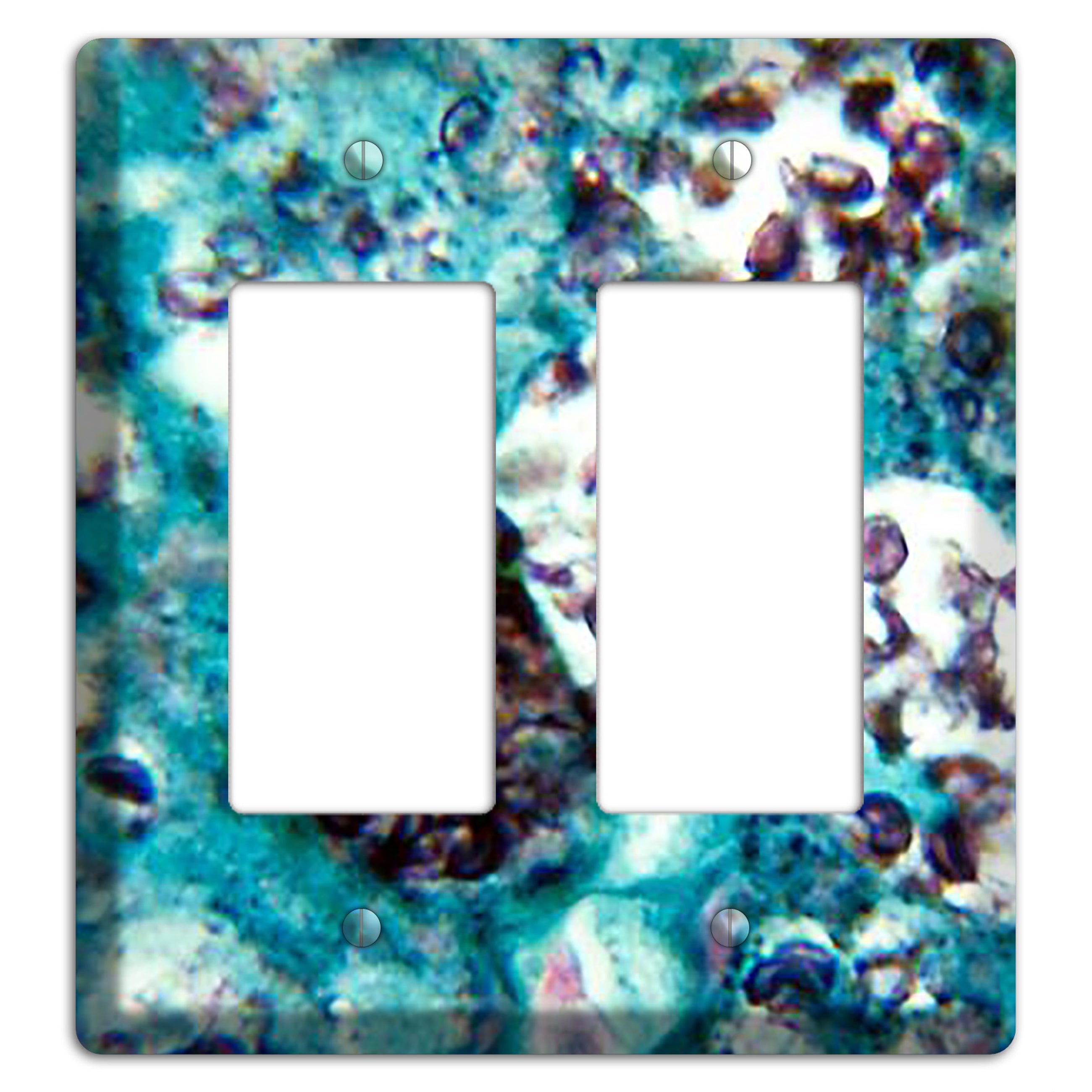 Histoplasmosis Capsulatum 2 Rocker Wallplate