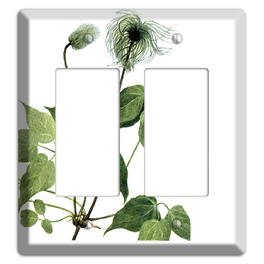 Clamatis Columbiana 2 Rocker Wallplate