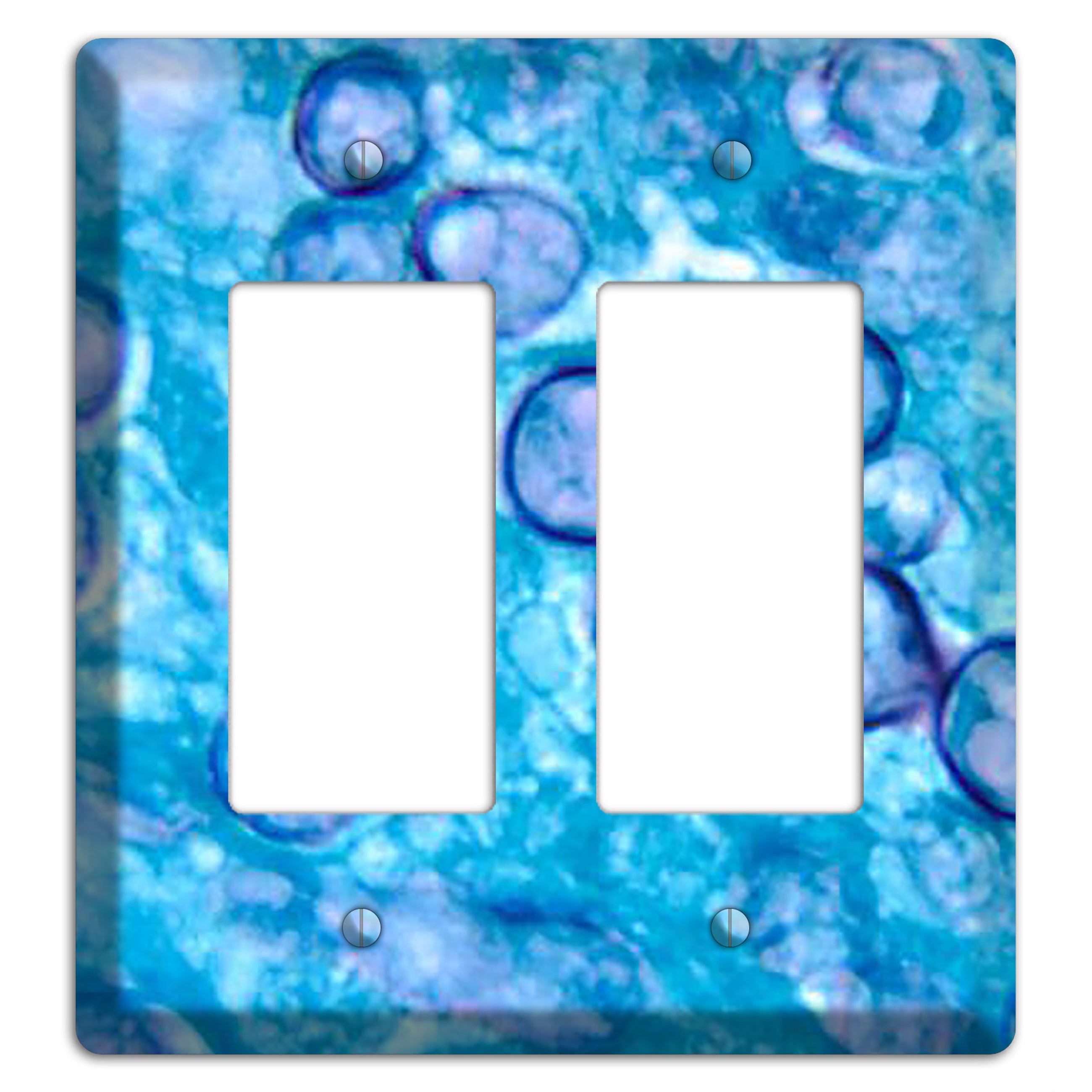 Histoplasma Capsulatum Duboisii 2 Rocker Wallplate