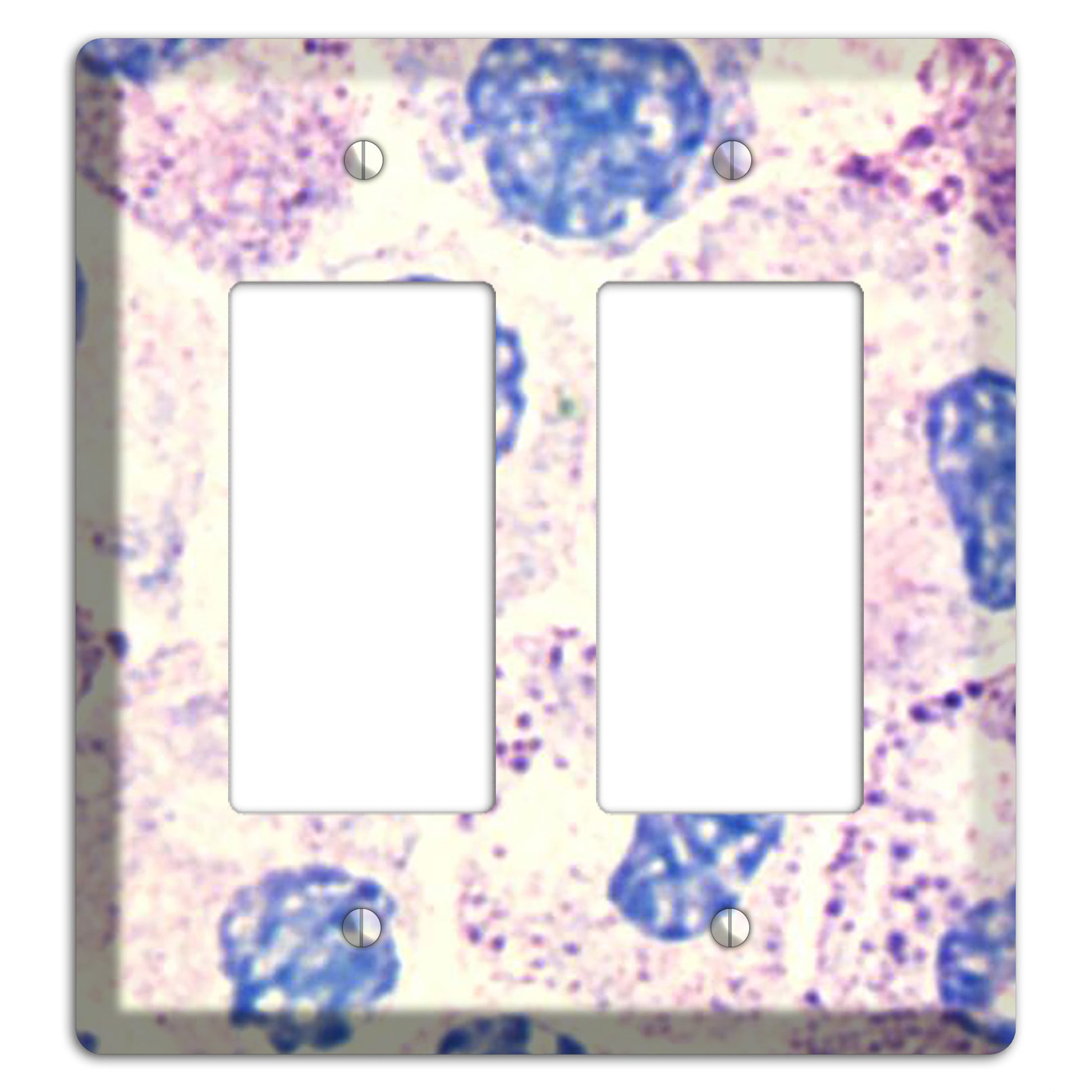 SMC Polyhydroxy 2 Rocker Wallplate