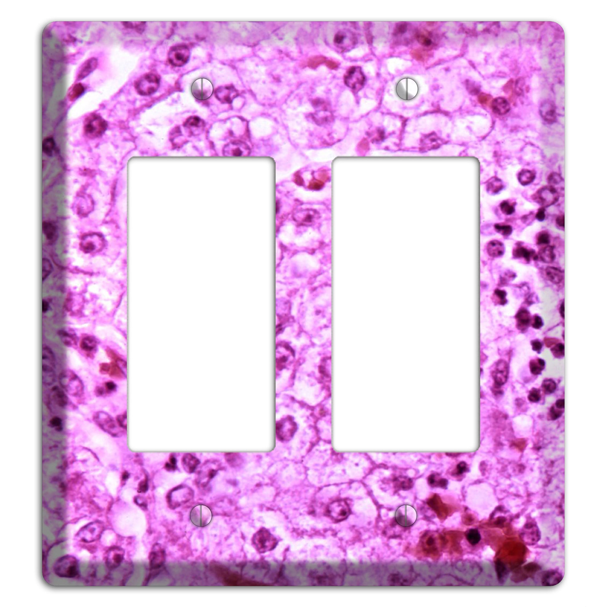 Lores 2 Rocker Wallplate