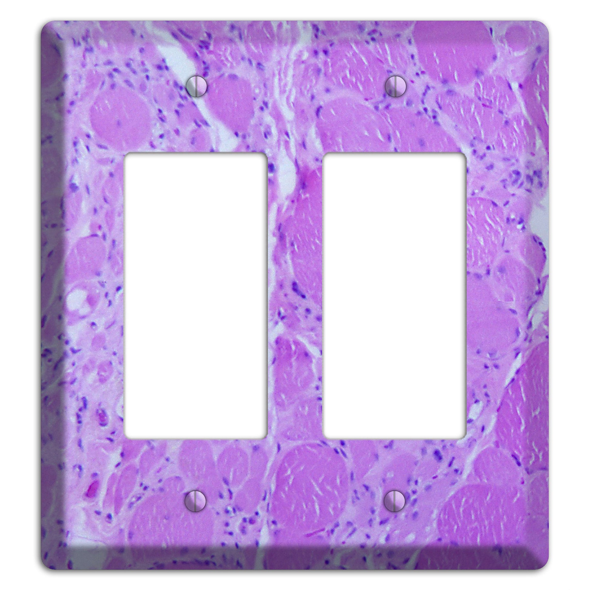 Poliovirus Myotonic Dystrophic 2 Rocker Wallplate