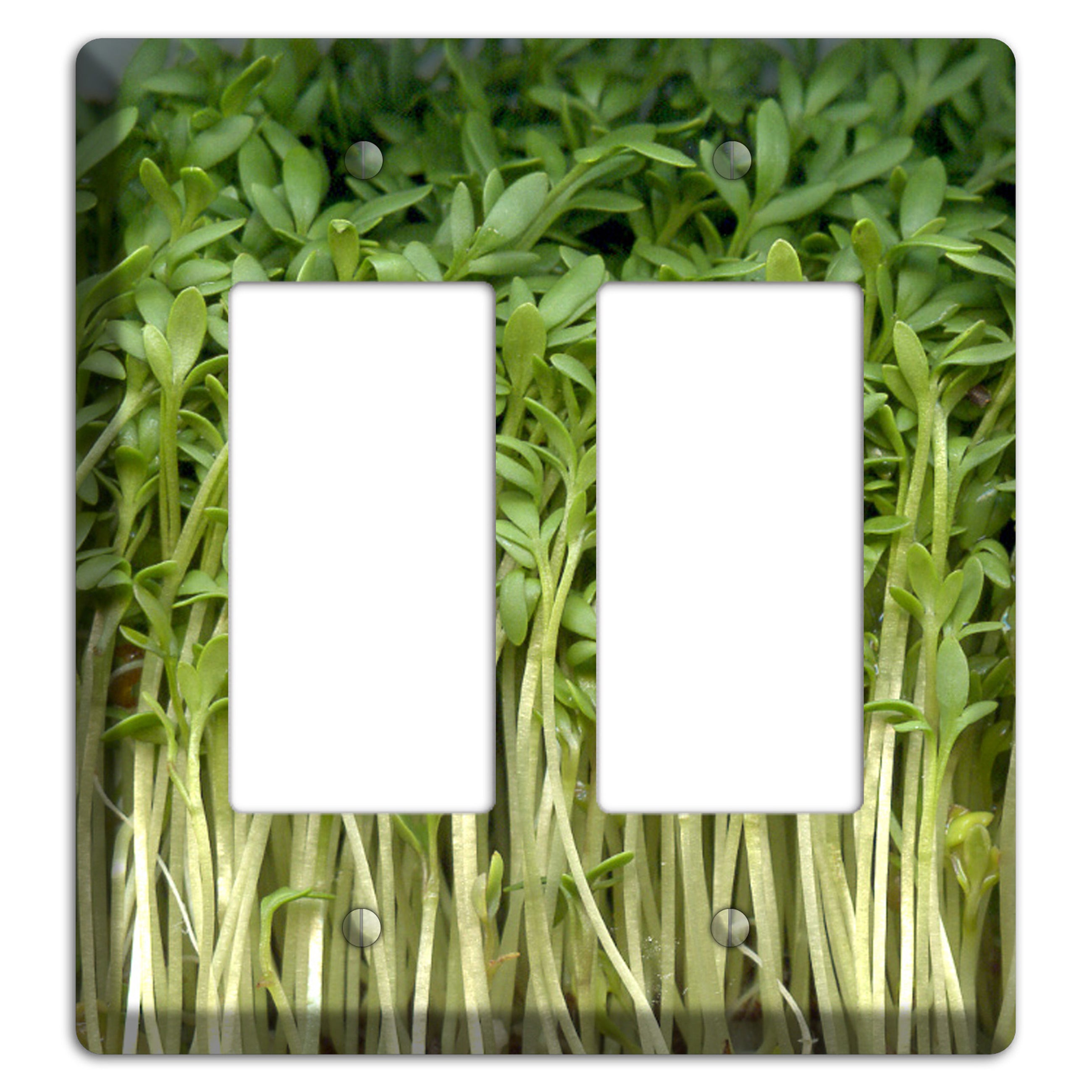 Sprouts 2 Rocker Wallplate