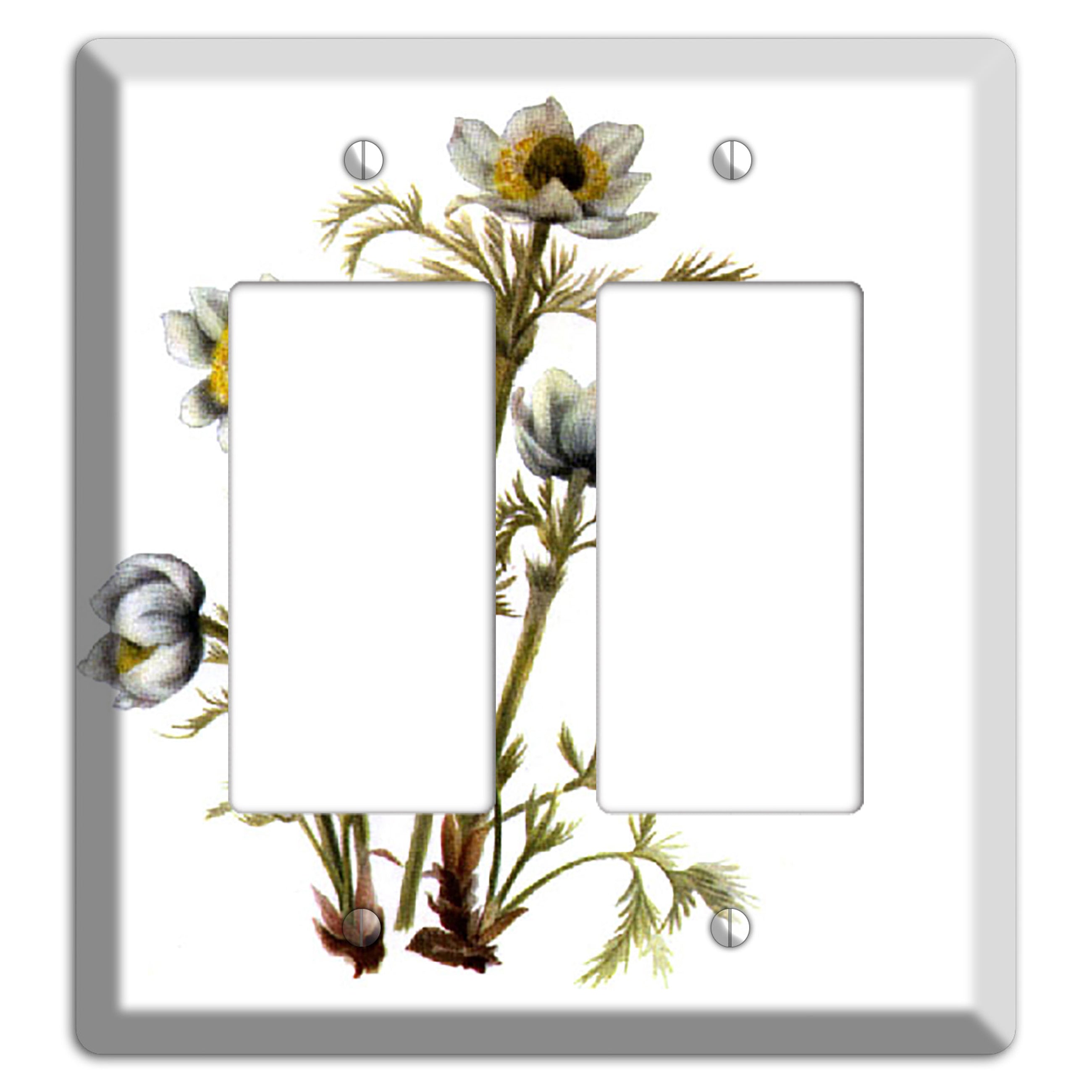 Aenmone Occitentalis 2 Rocker Wallplate