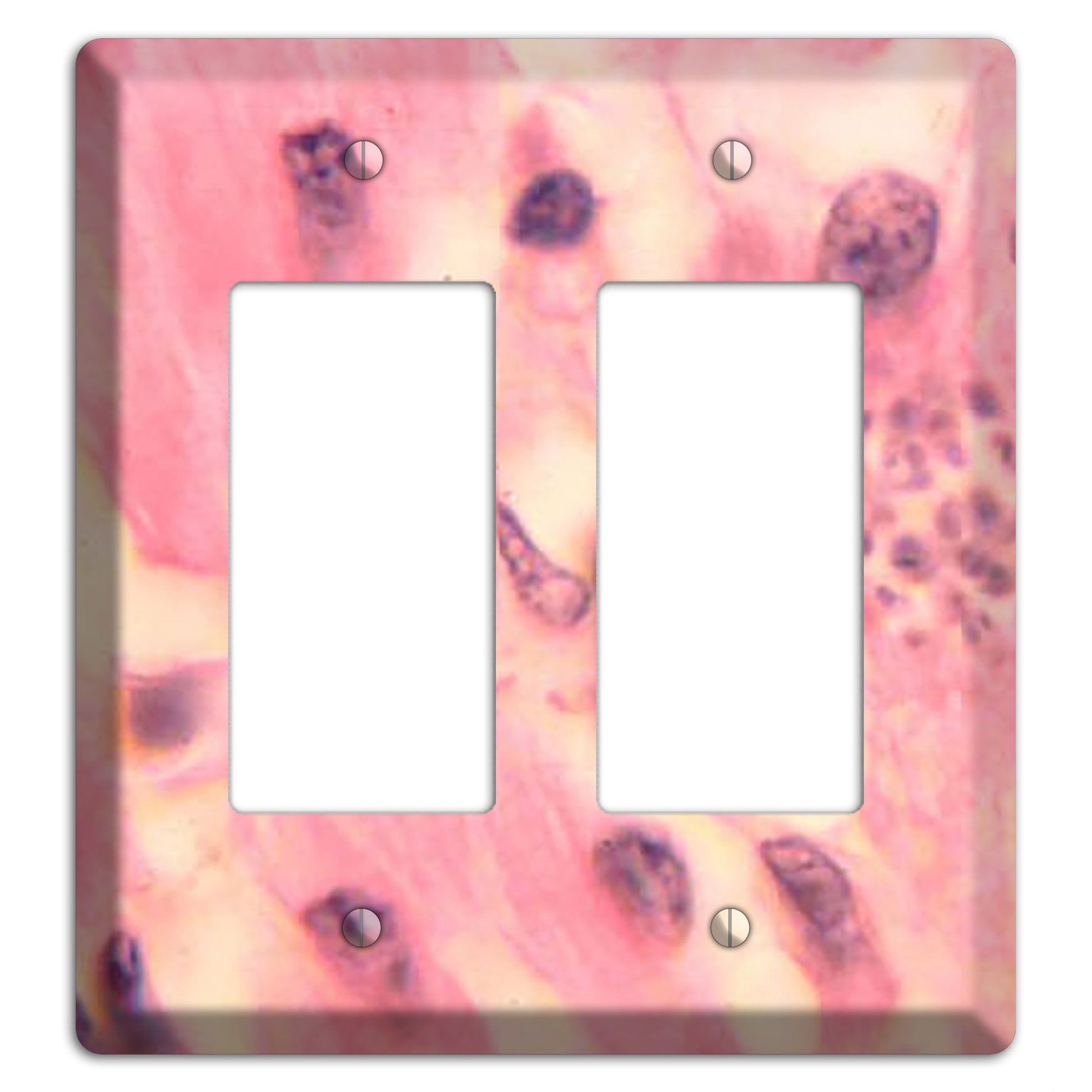 Trypanosoma Cruzi Heart 2 Rocker Wallplate