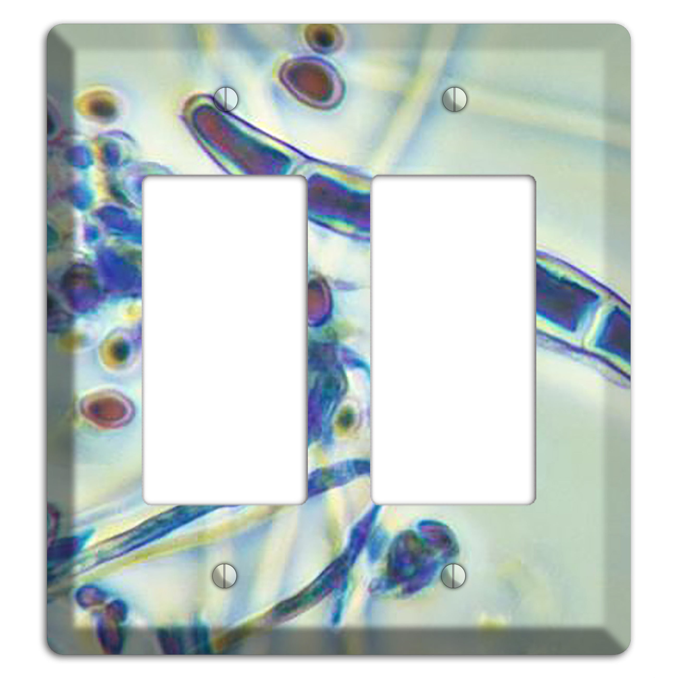 Trichophyton Rubrum Var Rodhaini 2 Rocker Wallplate