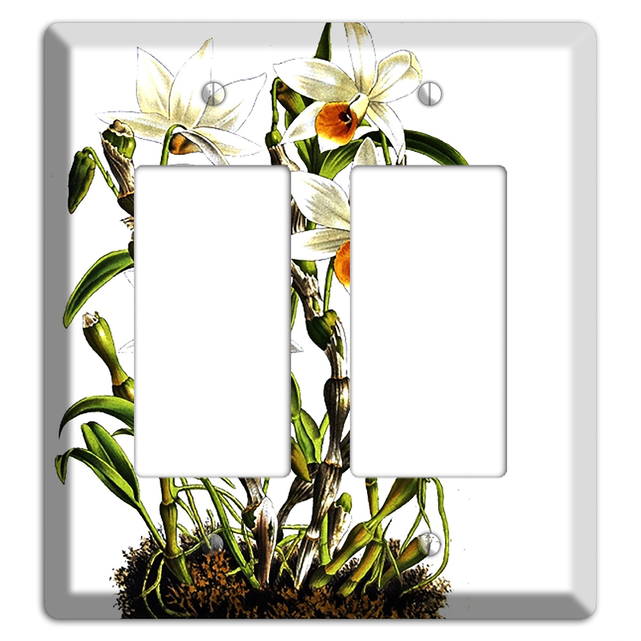 Dendrobium 2 Rocker Wallplate