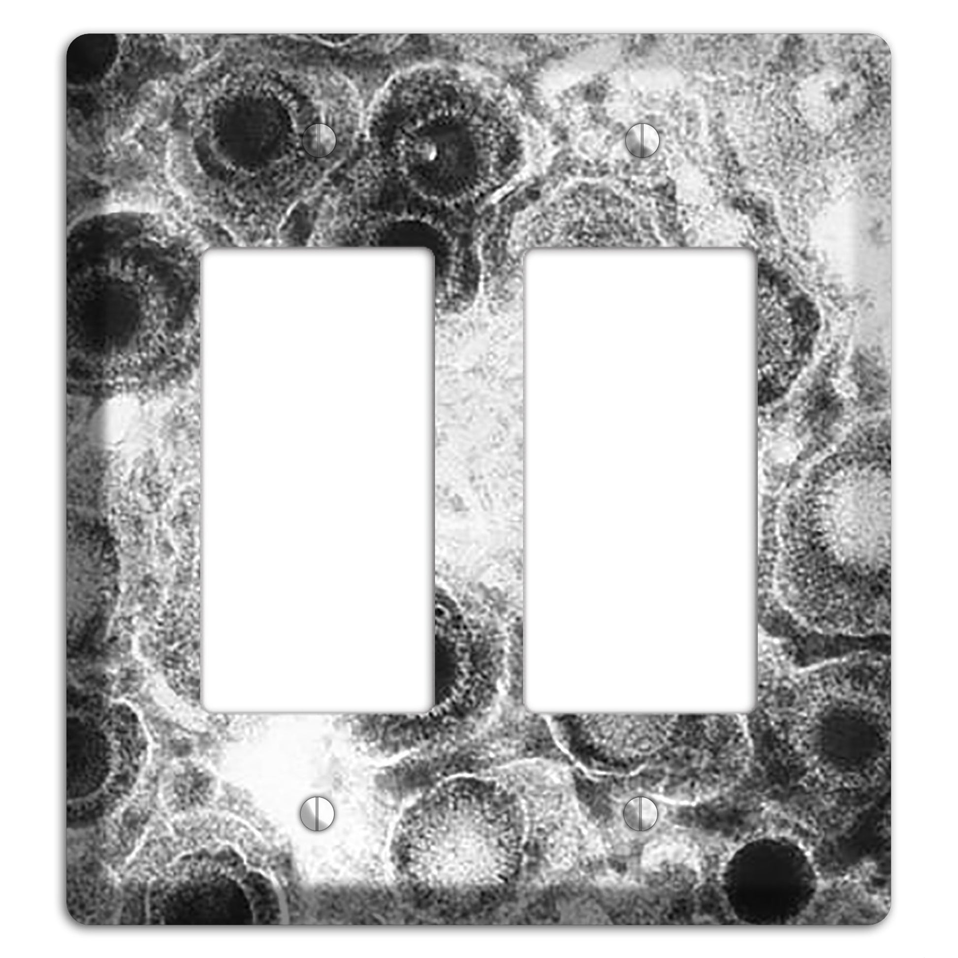 Herpes Simplex 2 Rocker Wallplate