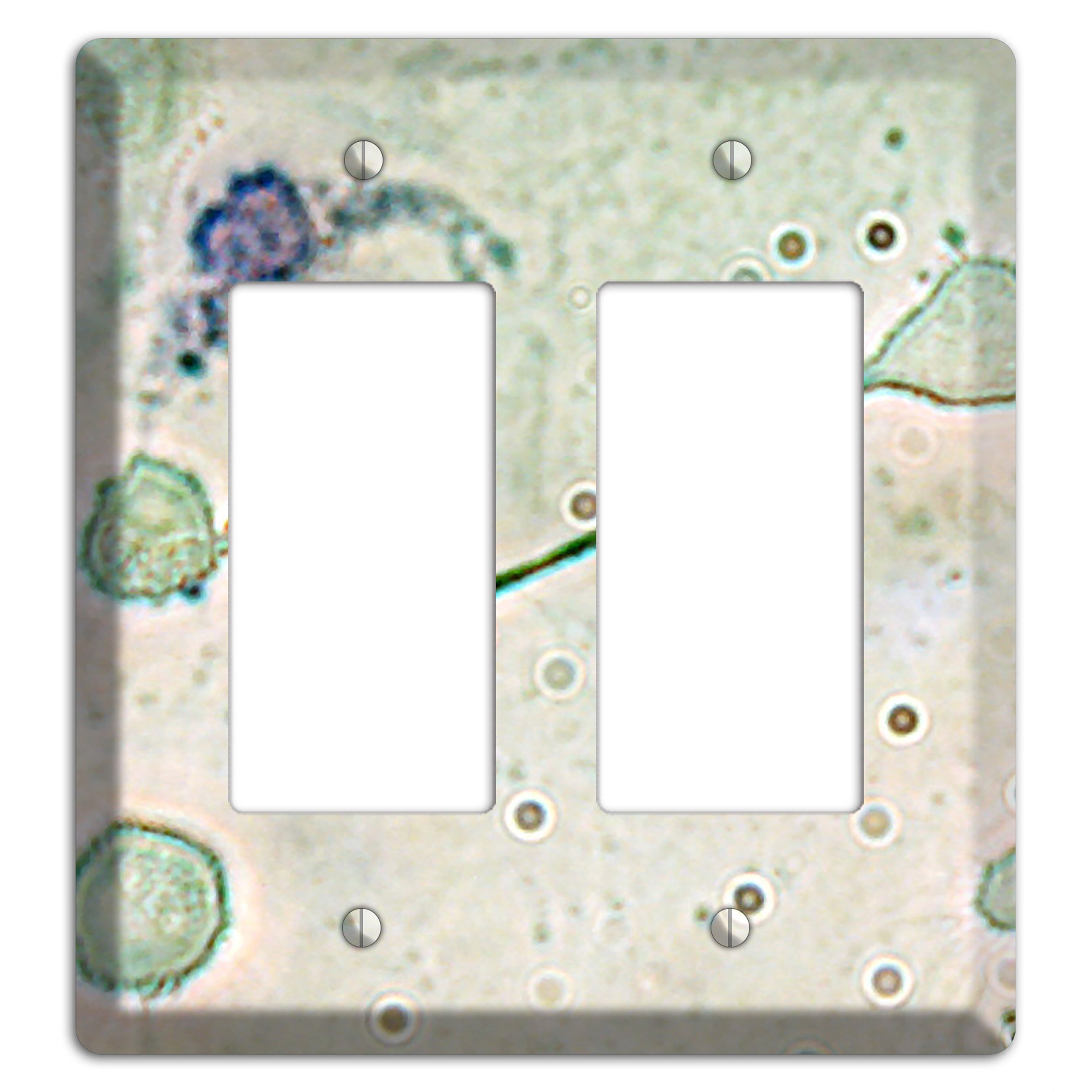 Macrophage 2 Rocker Wallplate
