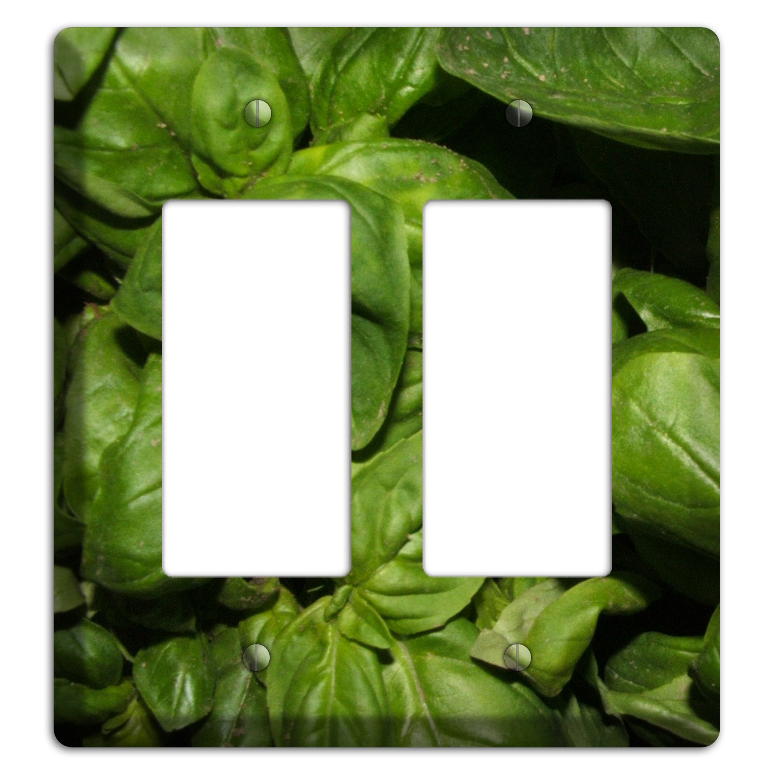 Basil 2 Rocker Wallplate