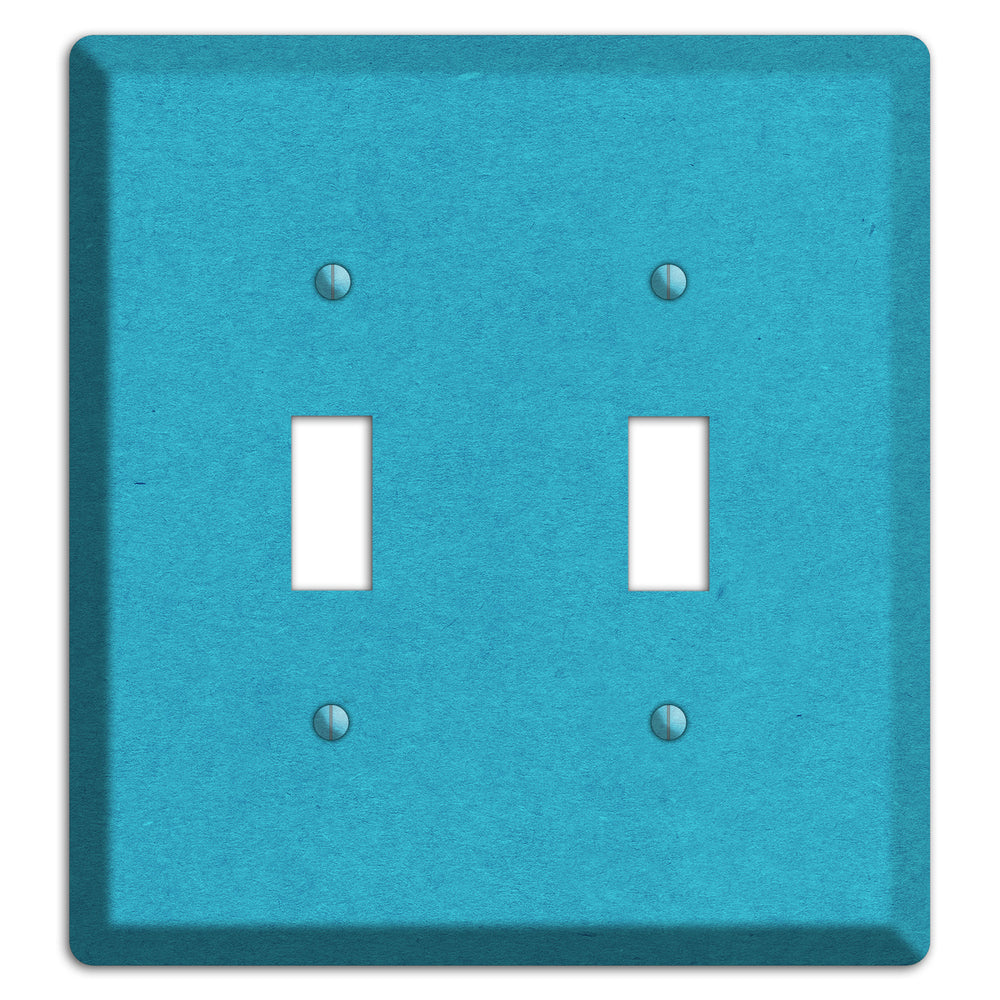 Scooter Kraft 2 Toggle Wallplate