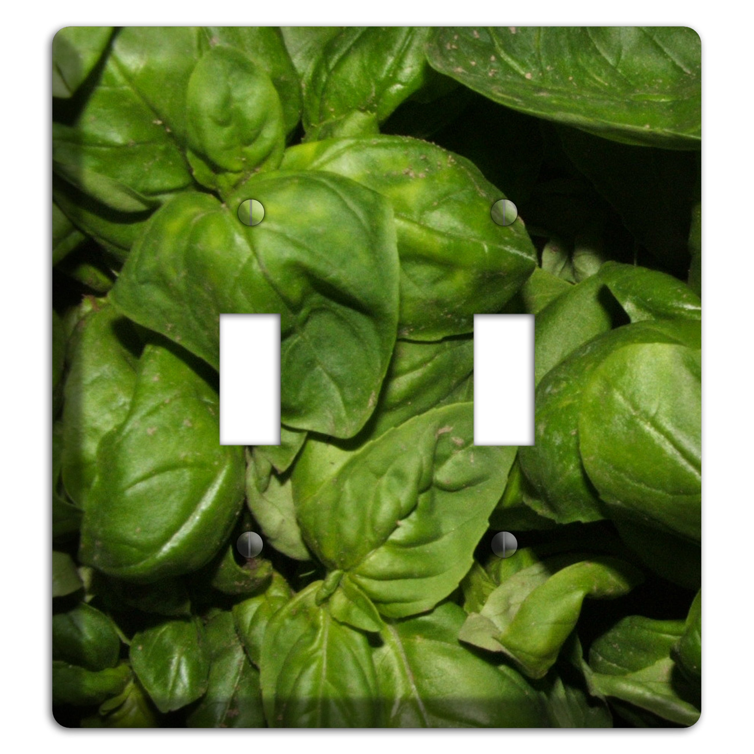 Basil 2 Toggle Wallplate
