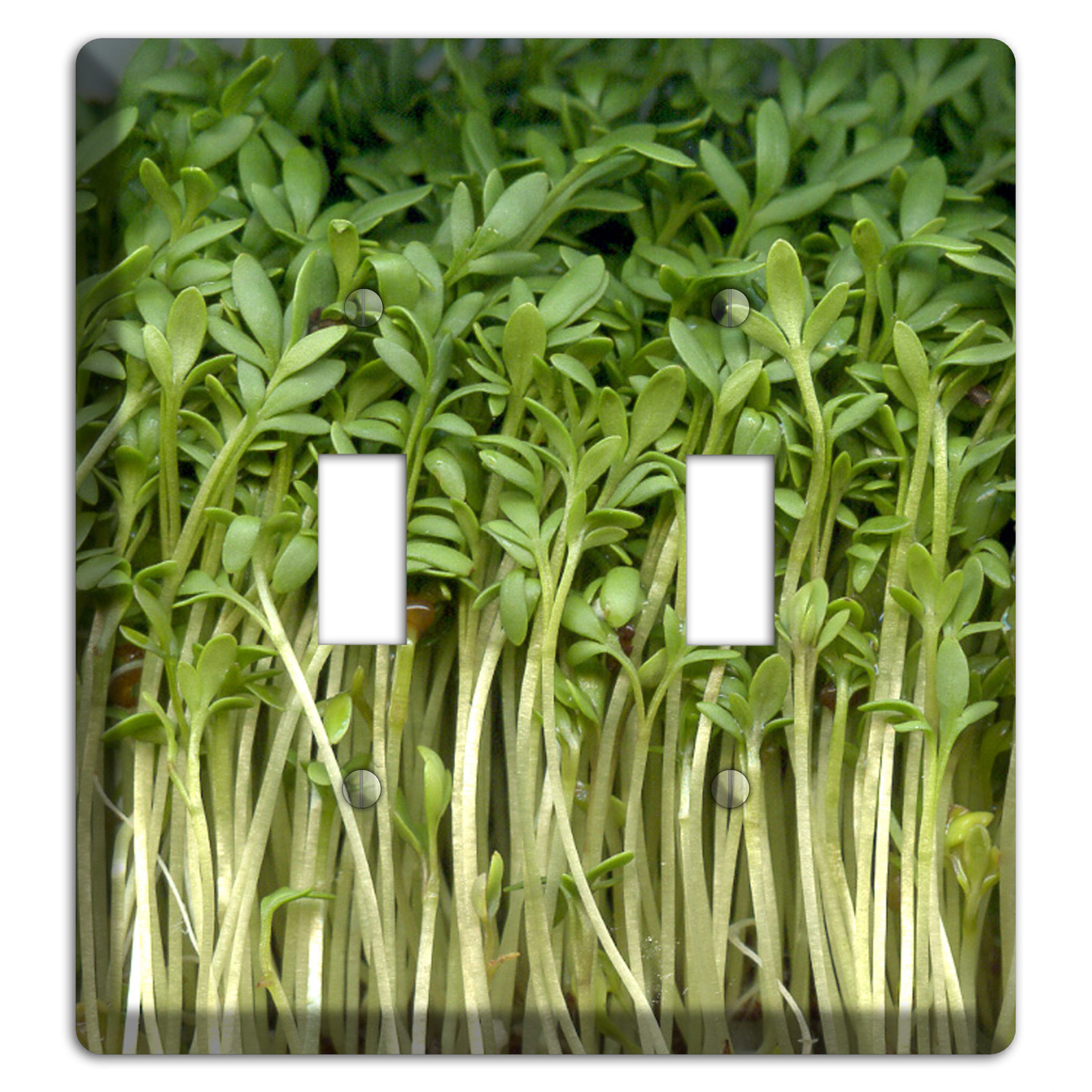 Sprouts 2 Toggle Wallplate